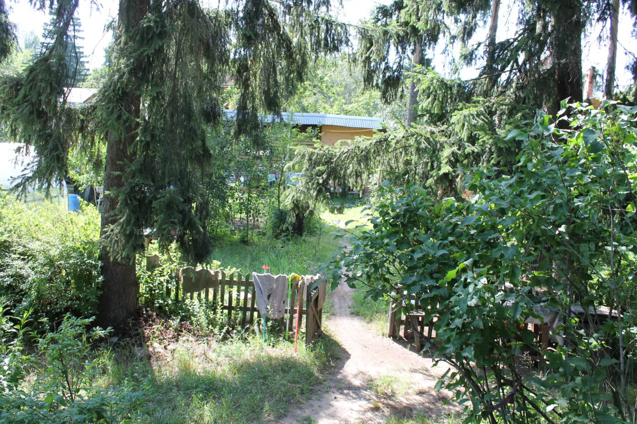 Резная дача в чаще, фото 16