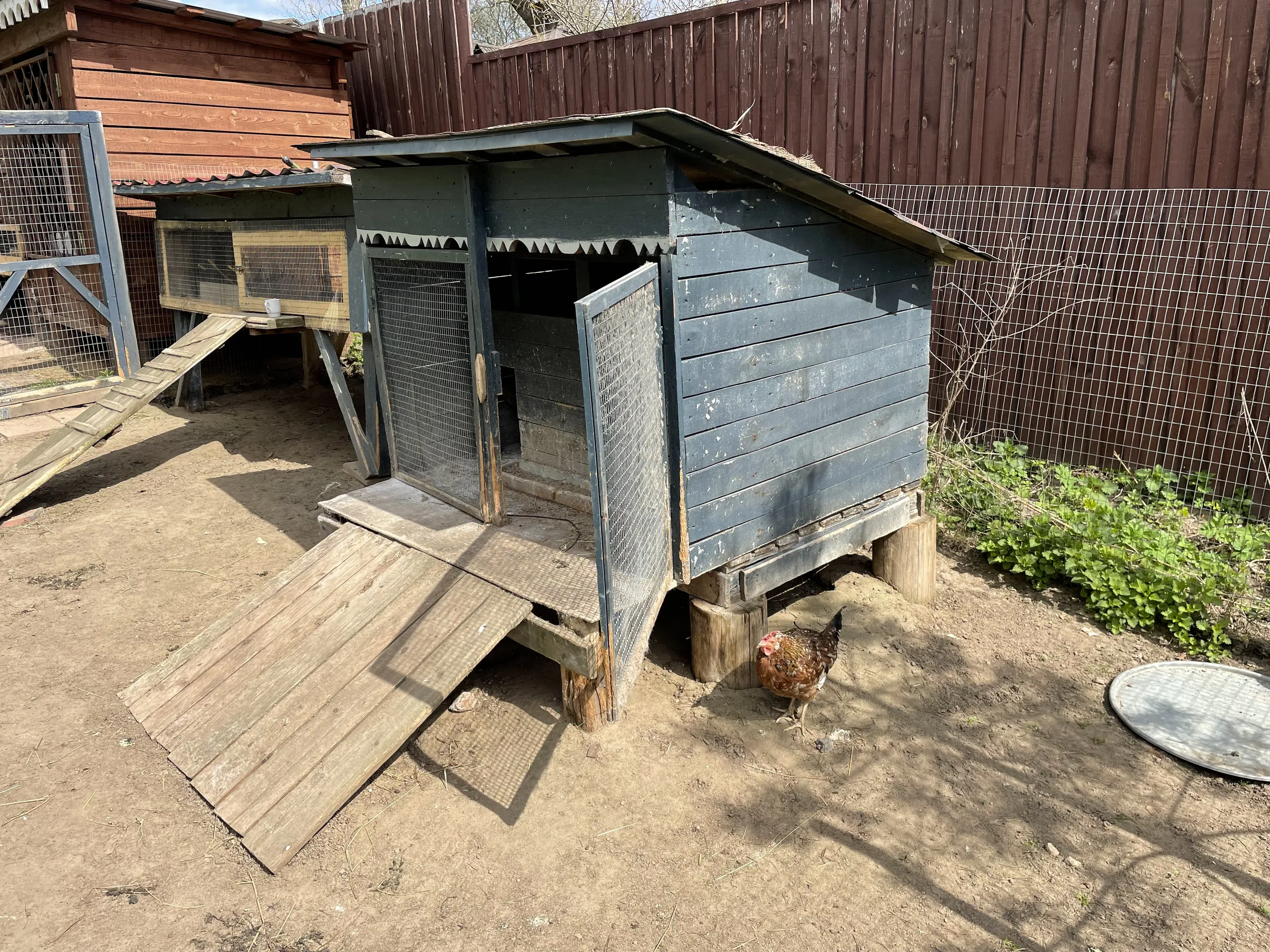Резной дом в лесу, фото 15