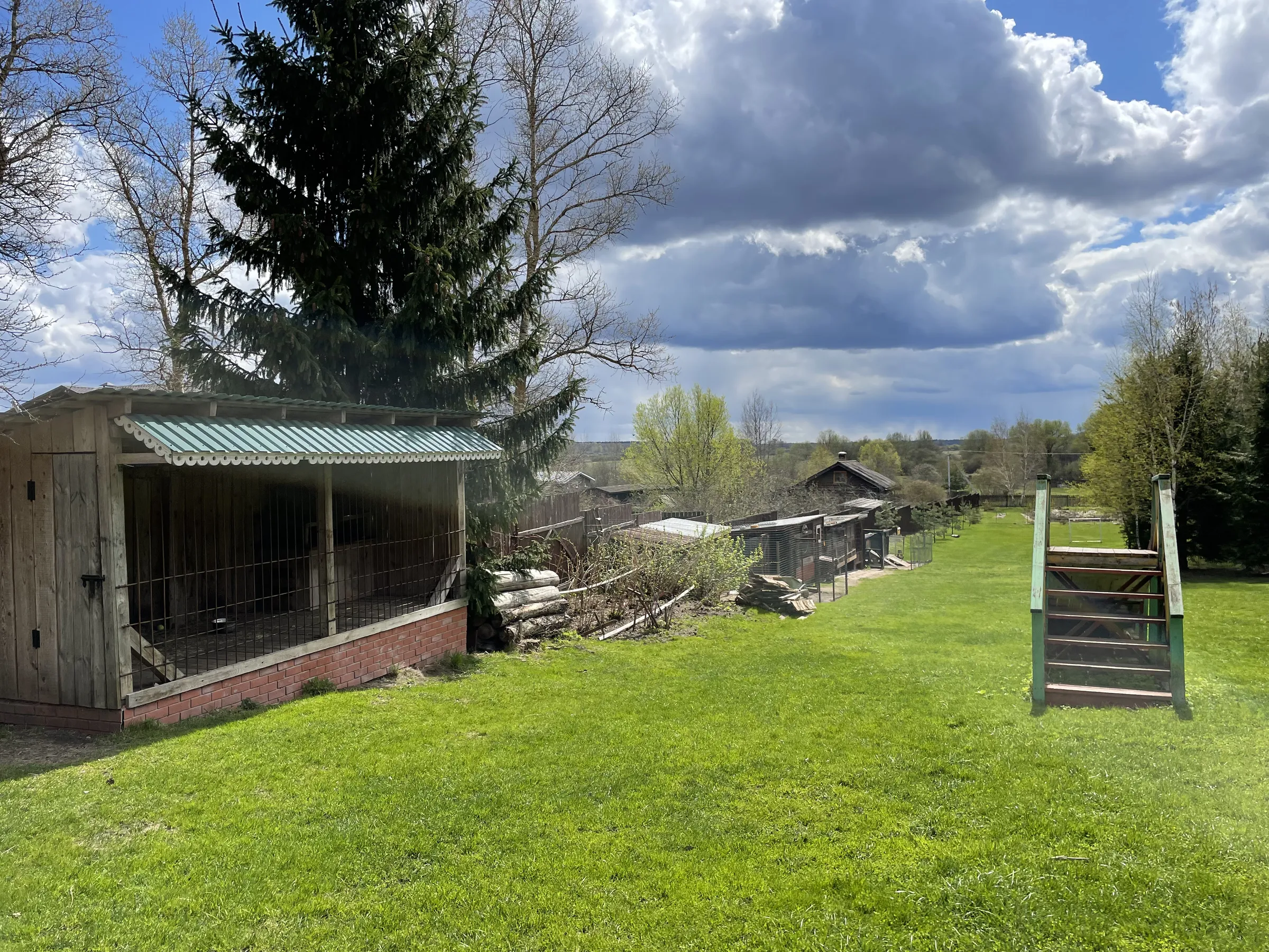 Резной дом в лесу, фото 11