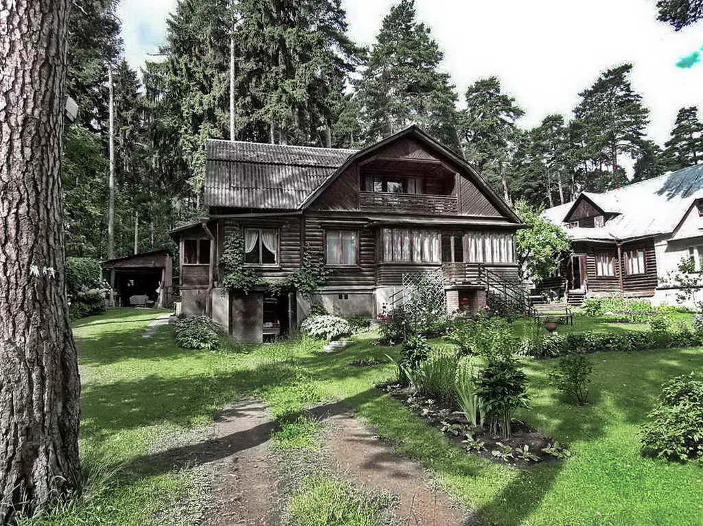Дача под соснами, фото 4
