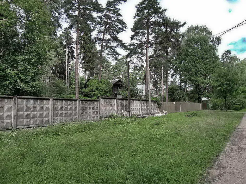 Дача под соснами, фото 1