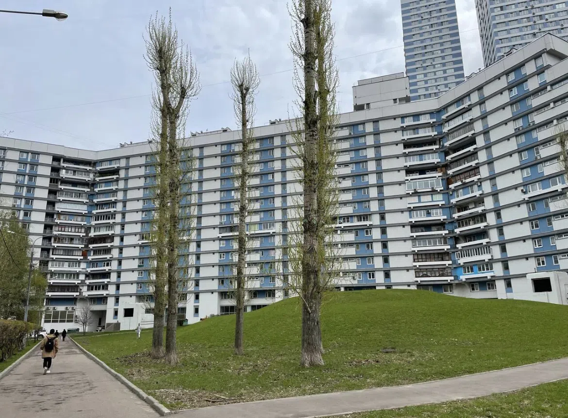 Квартира с зеленой стеной, фото 20