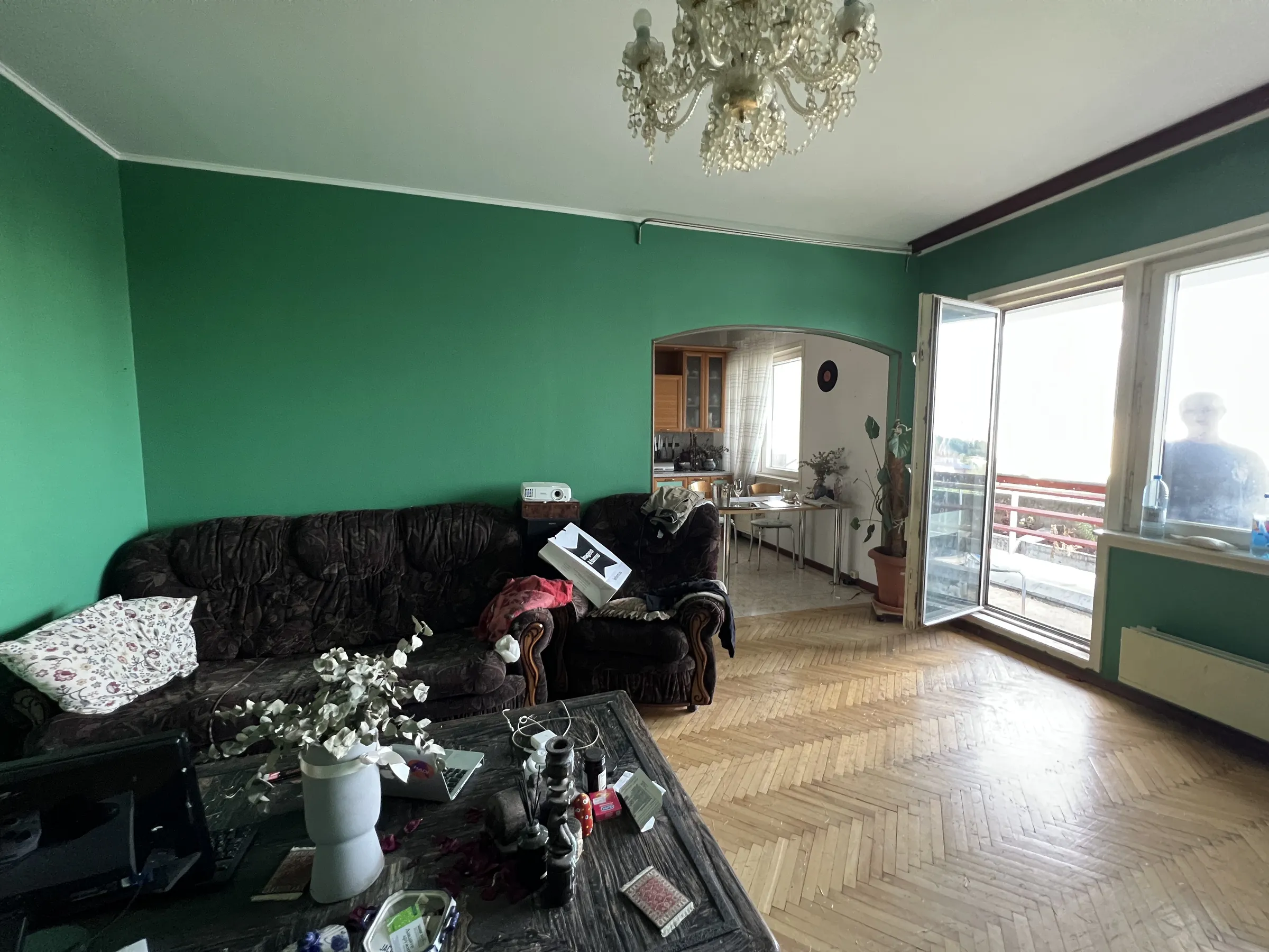 Квартира с зеленой стеной, фото 6