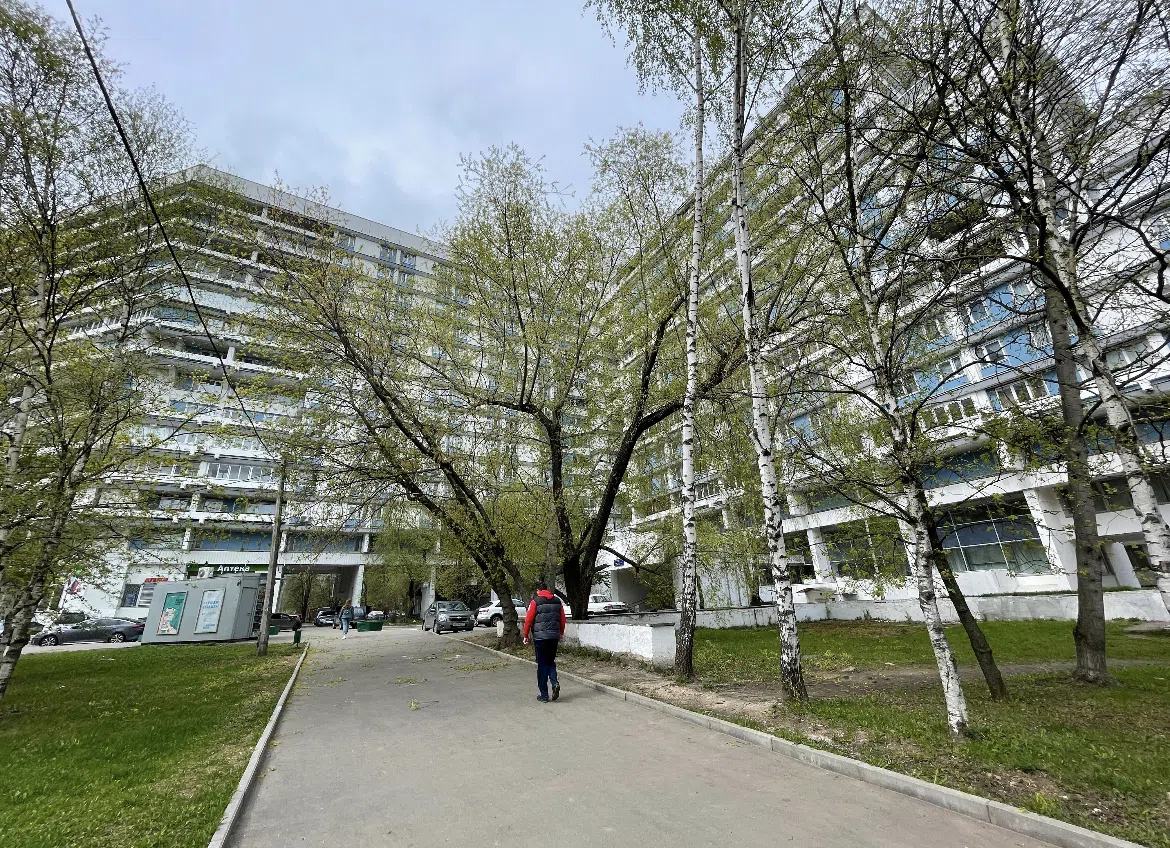 Квартира с зеленой стеной, фото 21