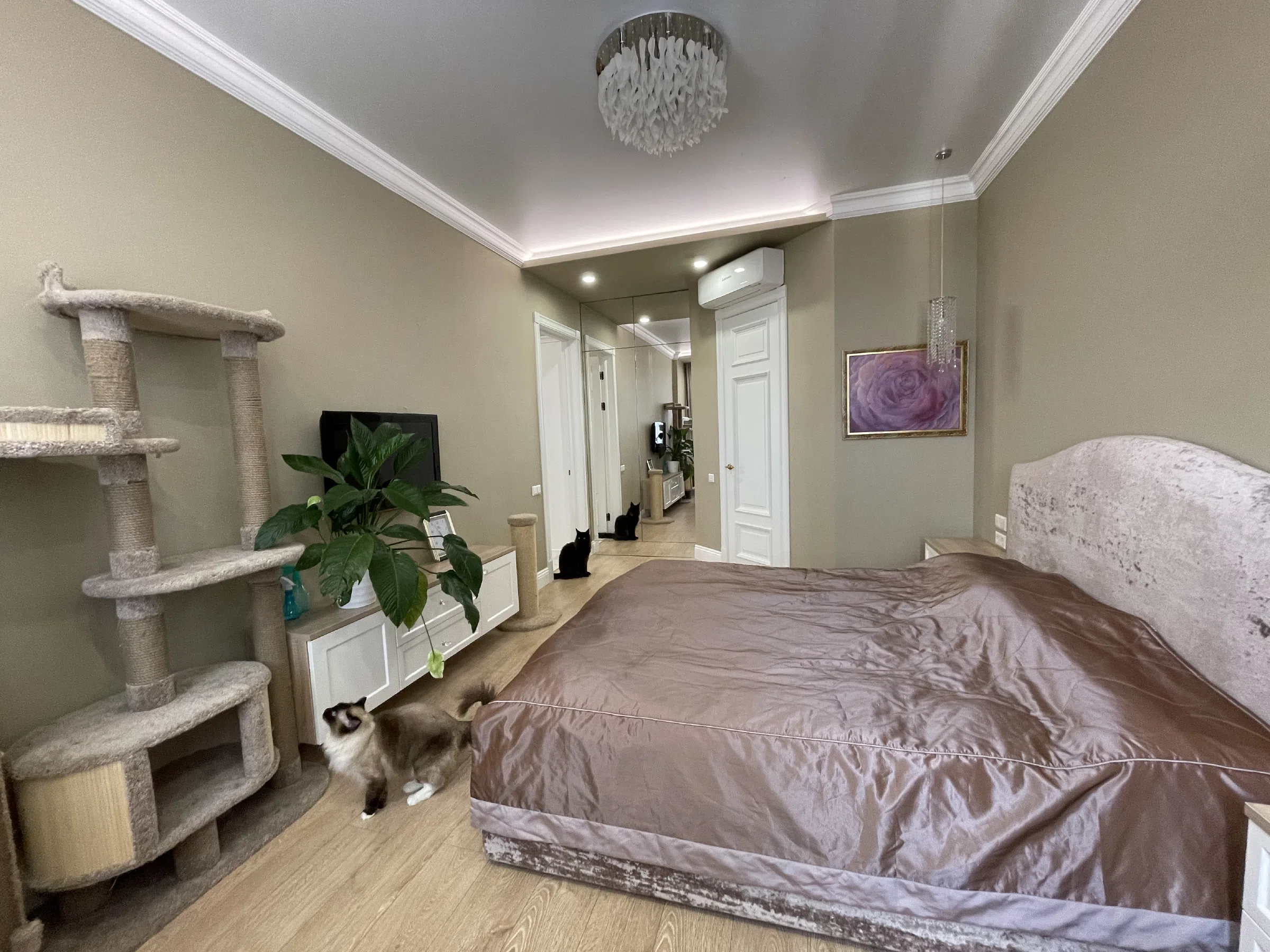 Квартира с эркером-кабинетом, фото 16