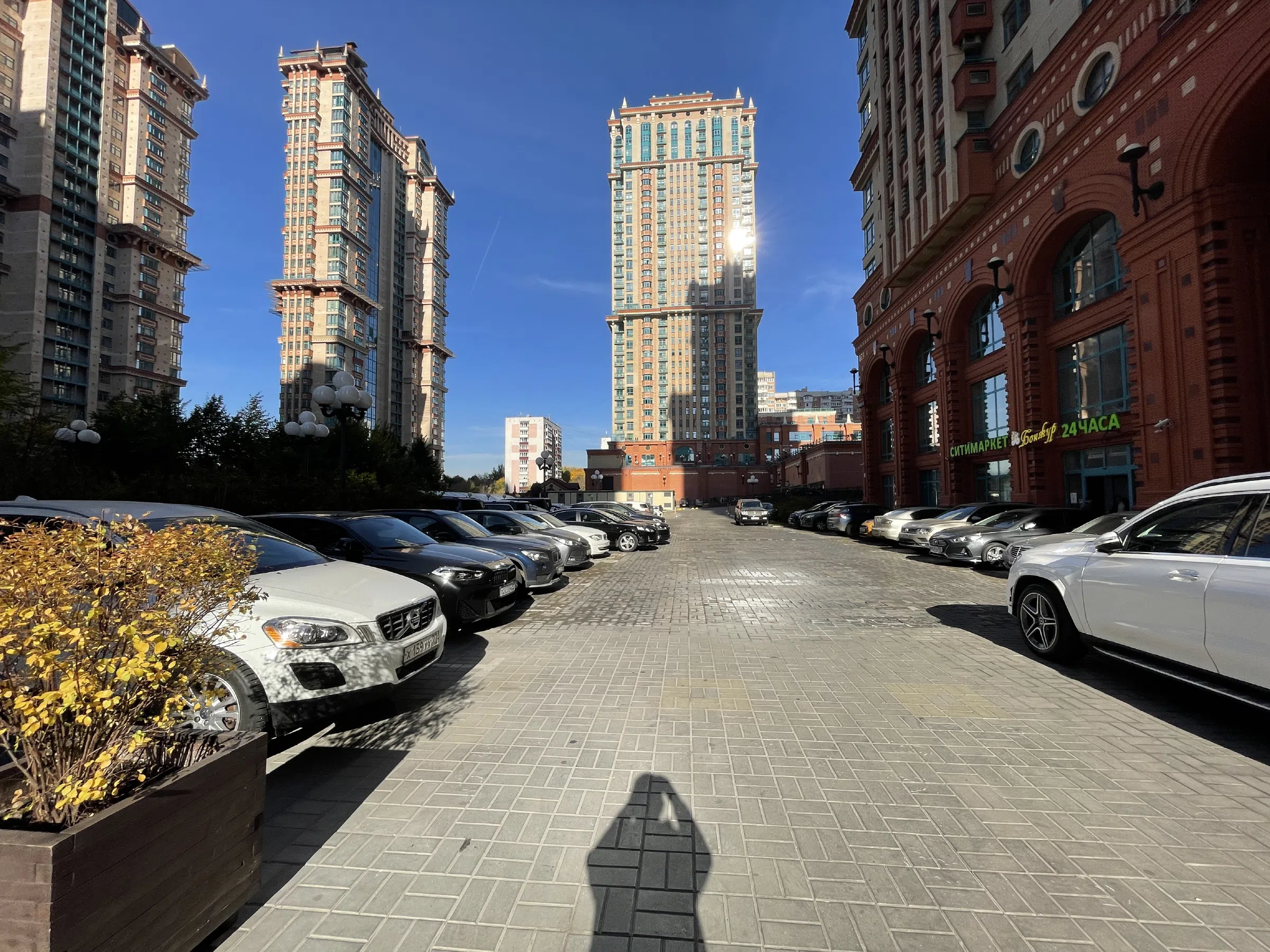 Квартира с эркером на парк, фото 2