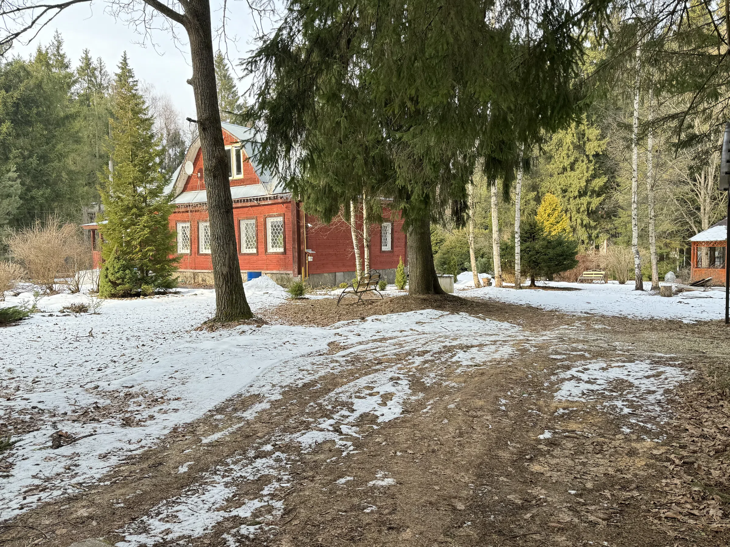 Красная дача в лесу, фото 1