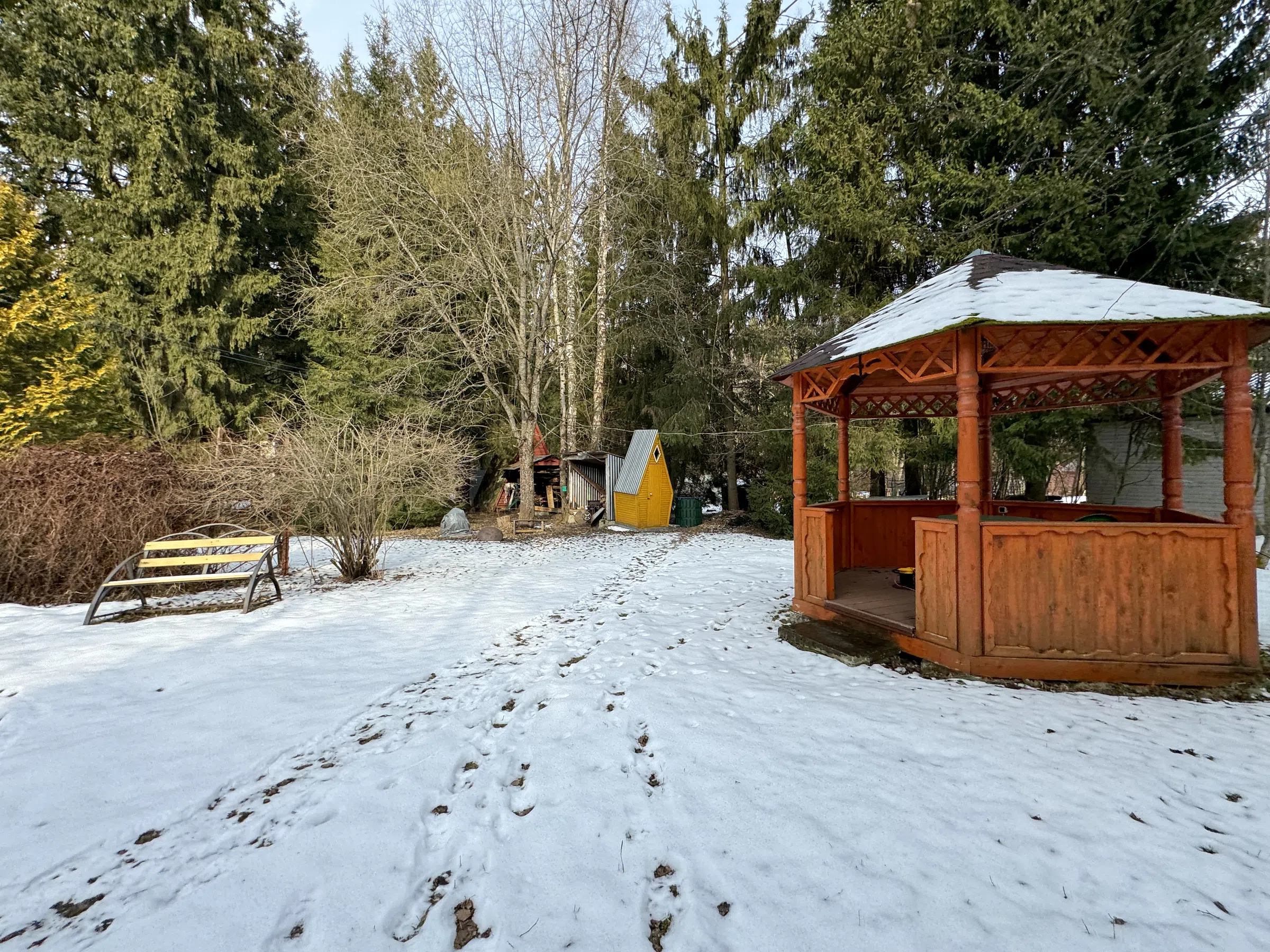 Красная дача в лесу, фото 6