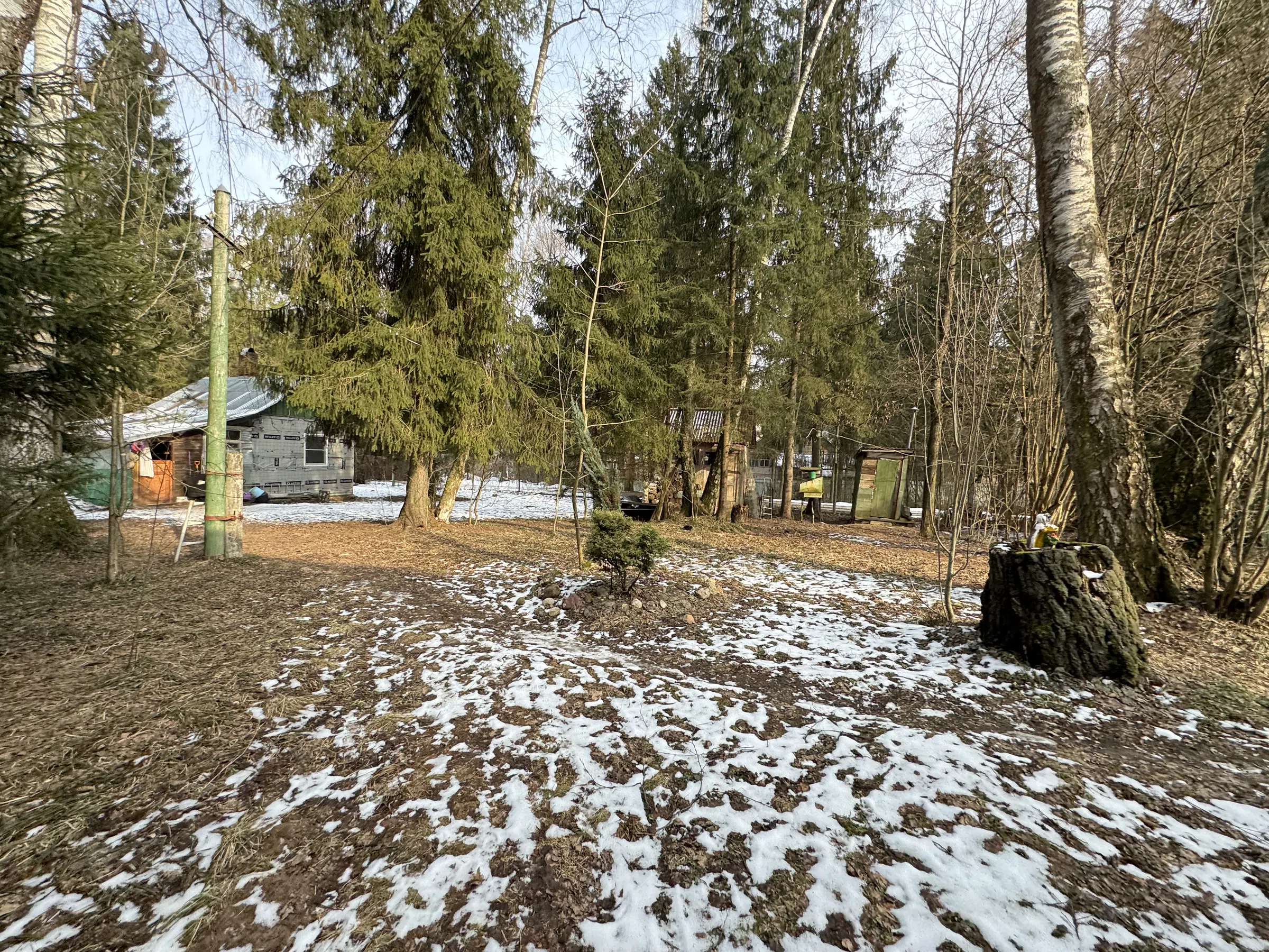 Рыжая дача с мезонином, фото 8