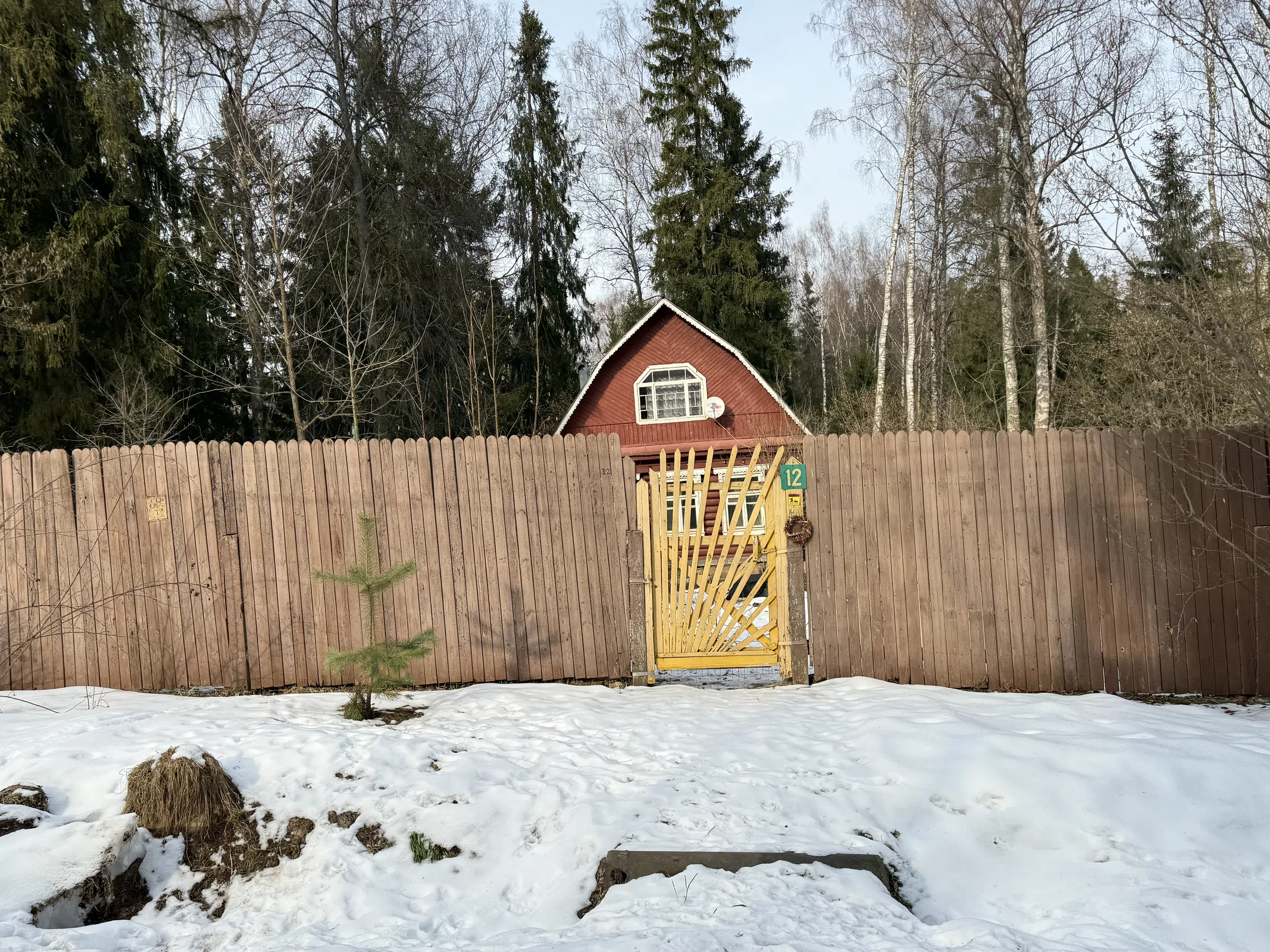 Рыжая дача с мезонином, фото 4