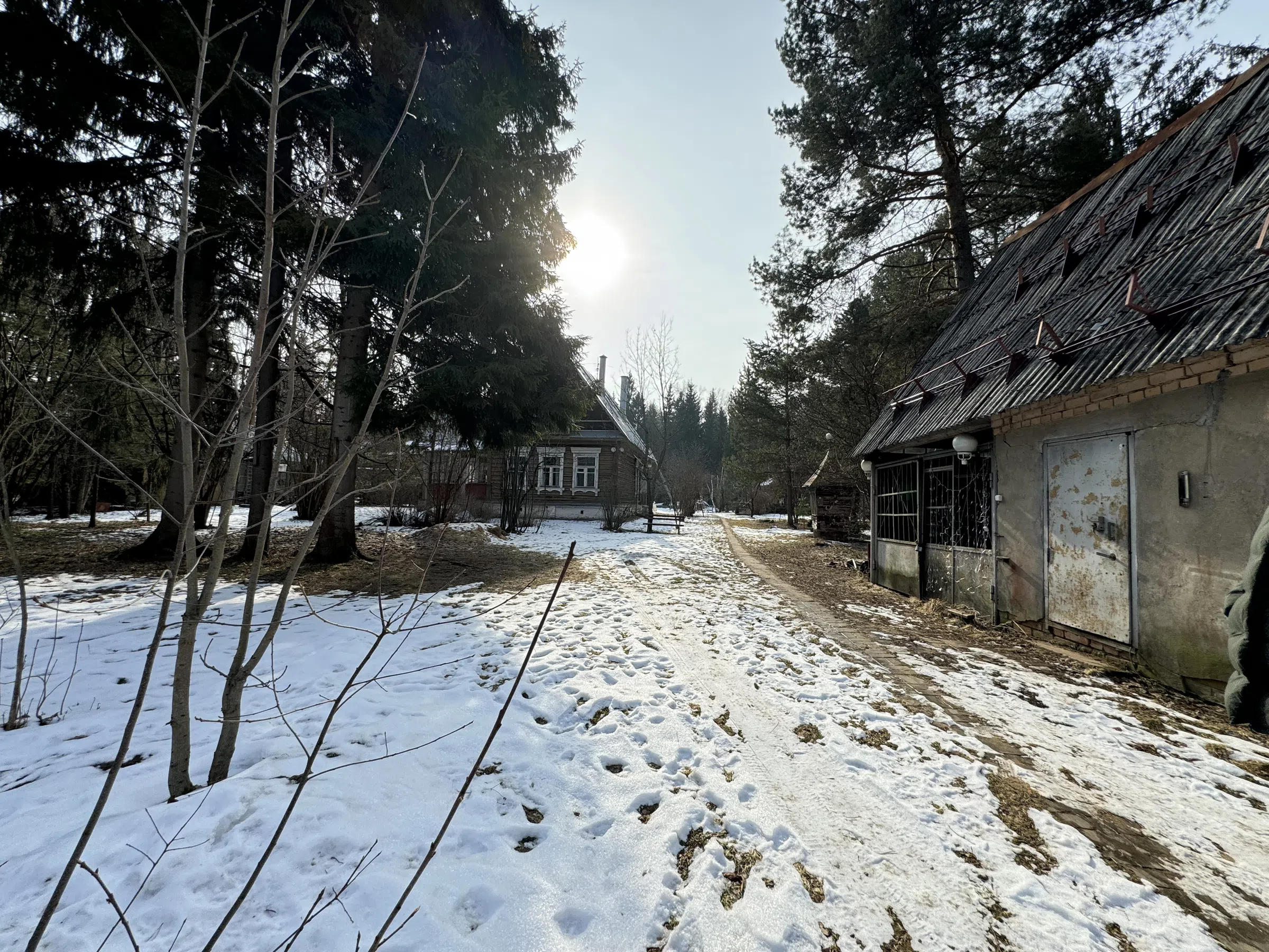 Резной терем в лесу, фото 5