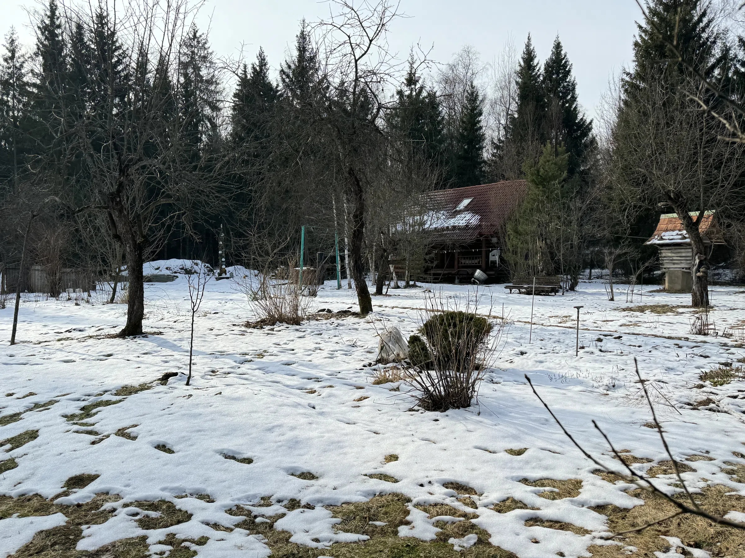 Резной терем в лесу, фото 15