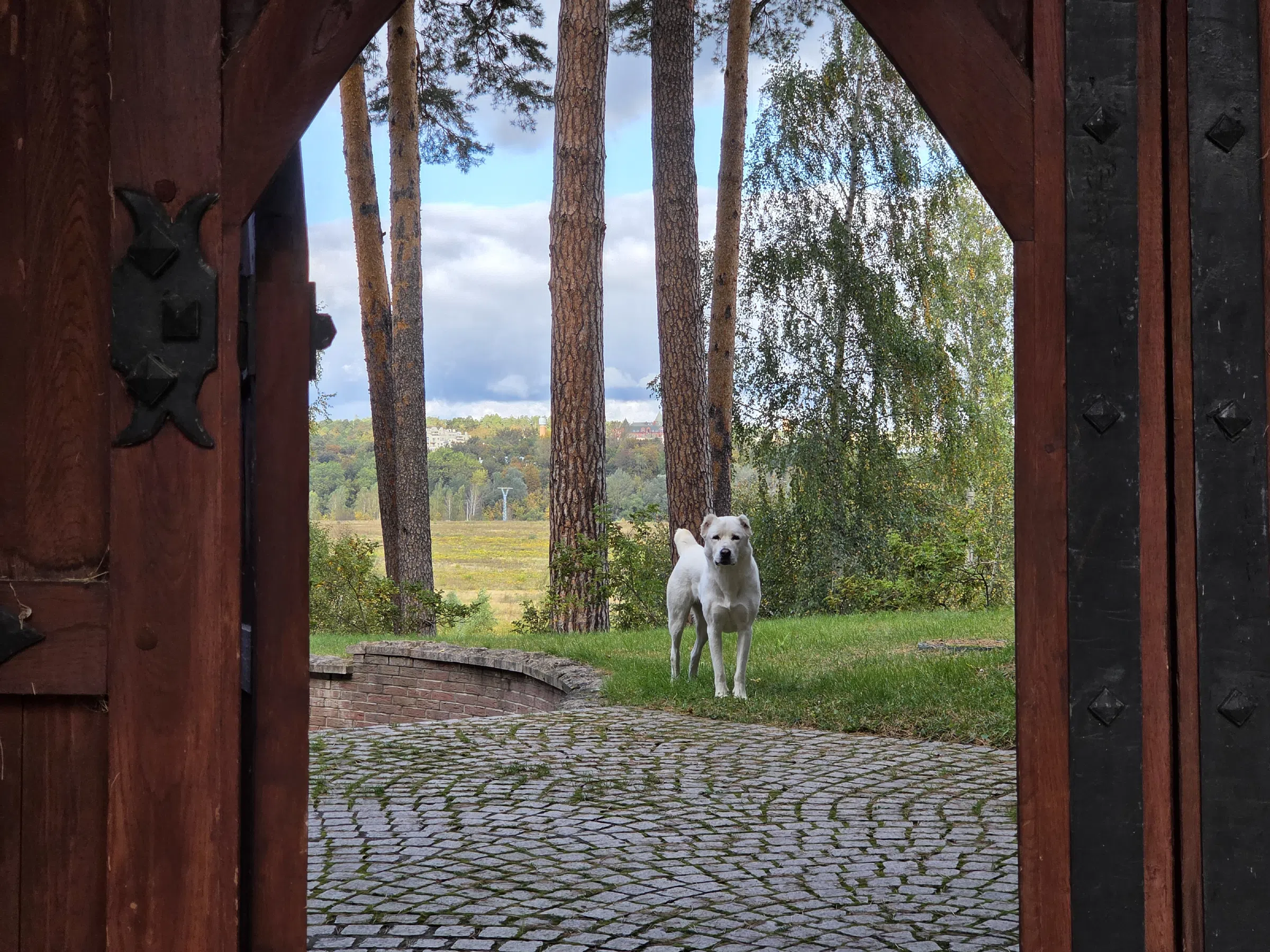 Усадьба у озера среди сосен, фото 18