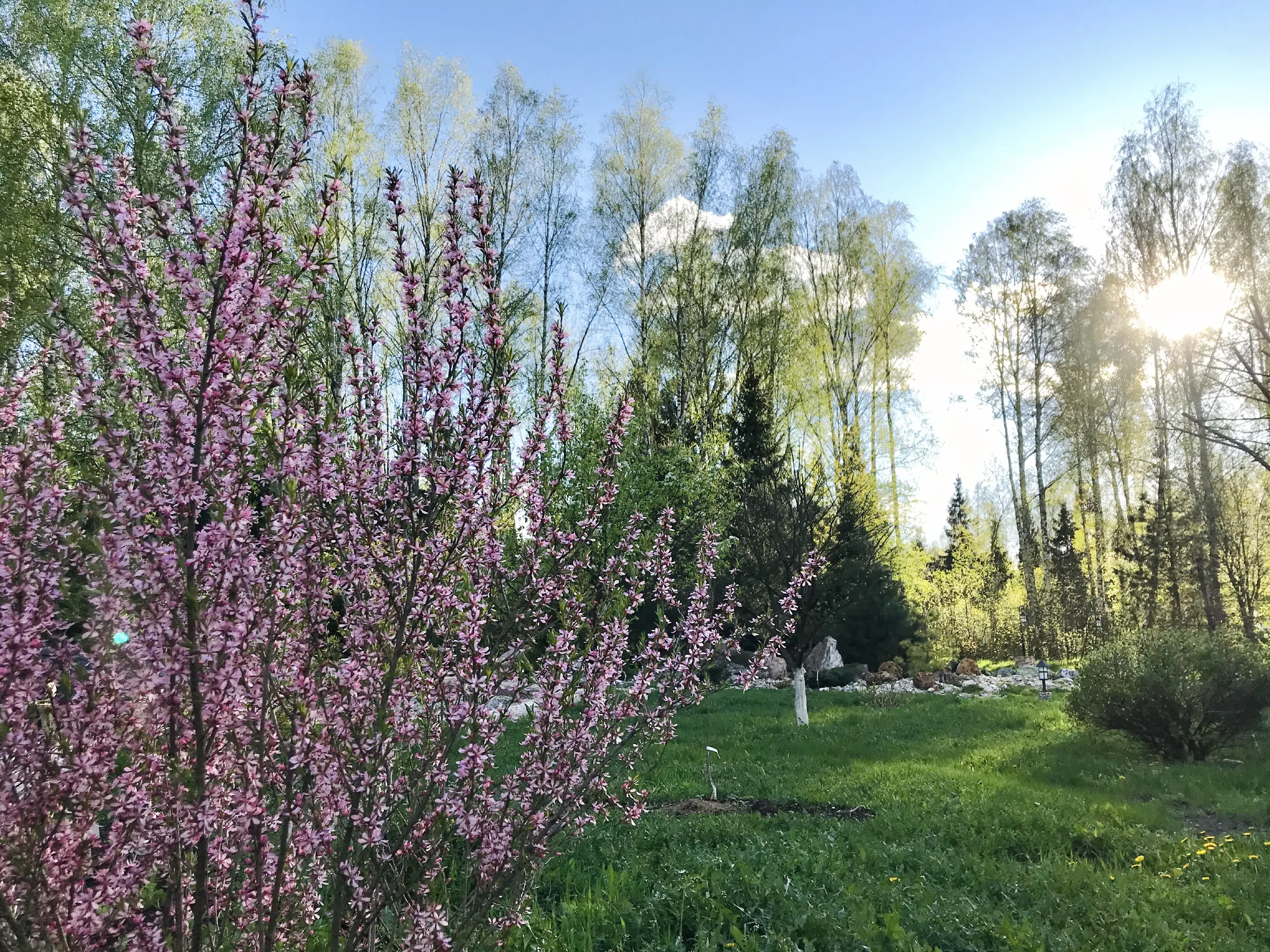 Загородный дом у речки, фото 6