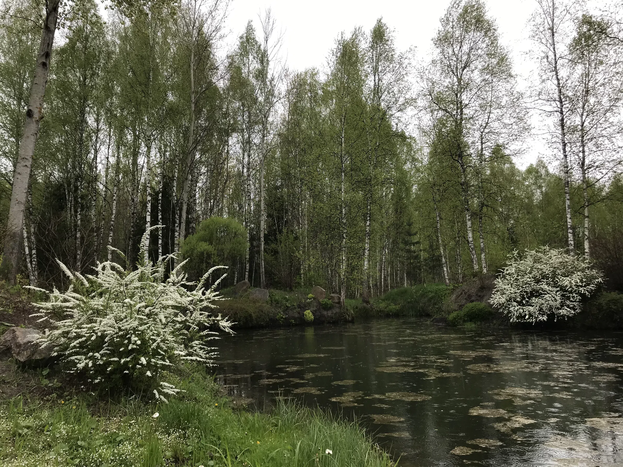 Загородный дом у речки, фото 7