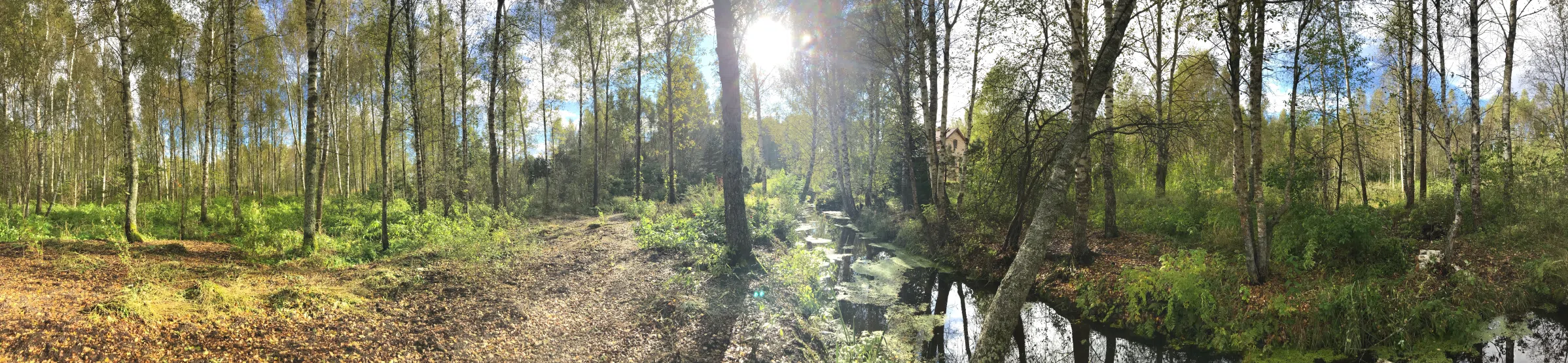 Загородный дом у речки, фото 1
