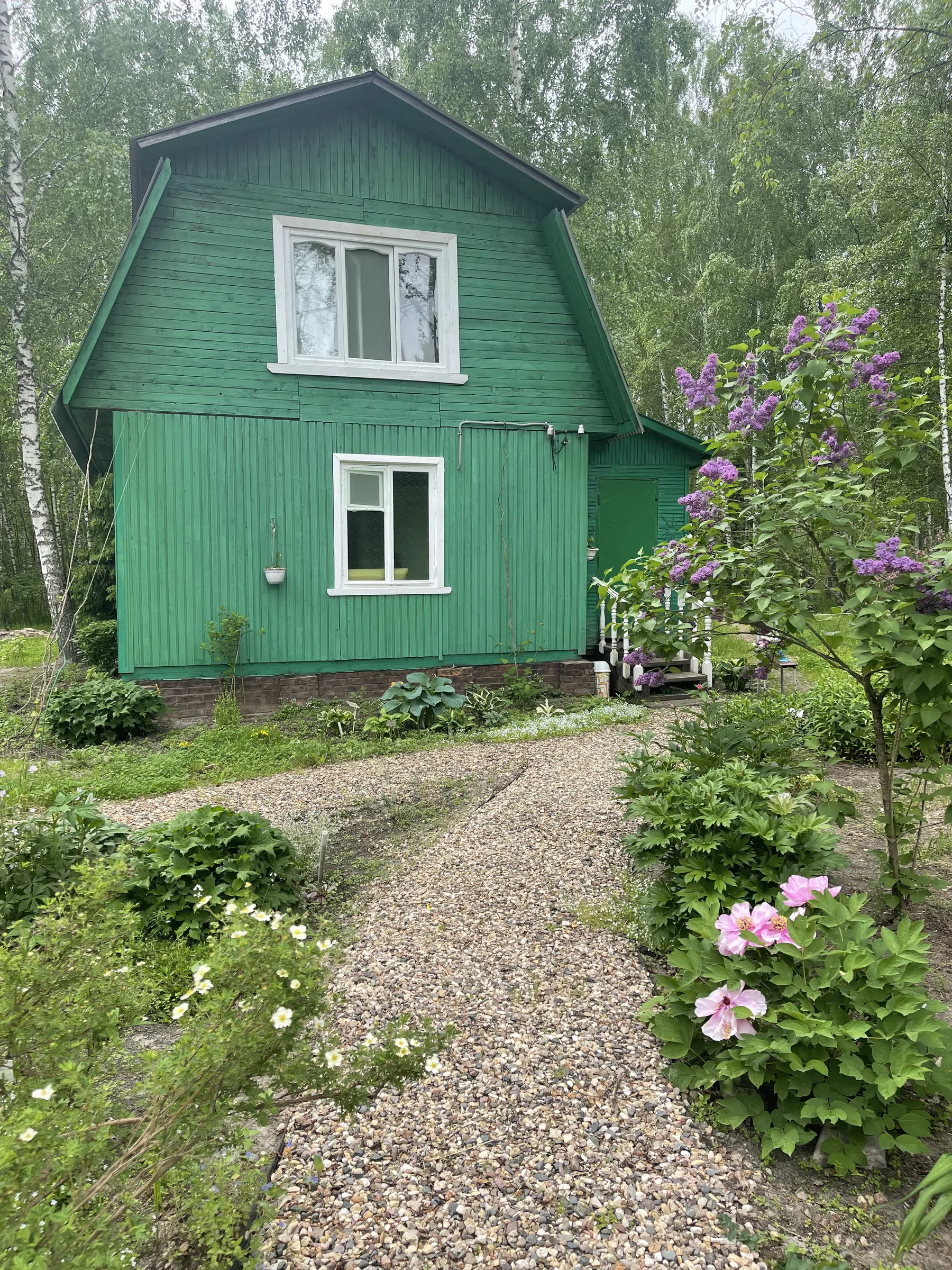 Зеленая дача в лесу, фото 17