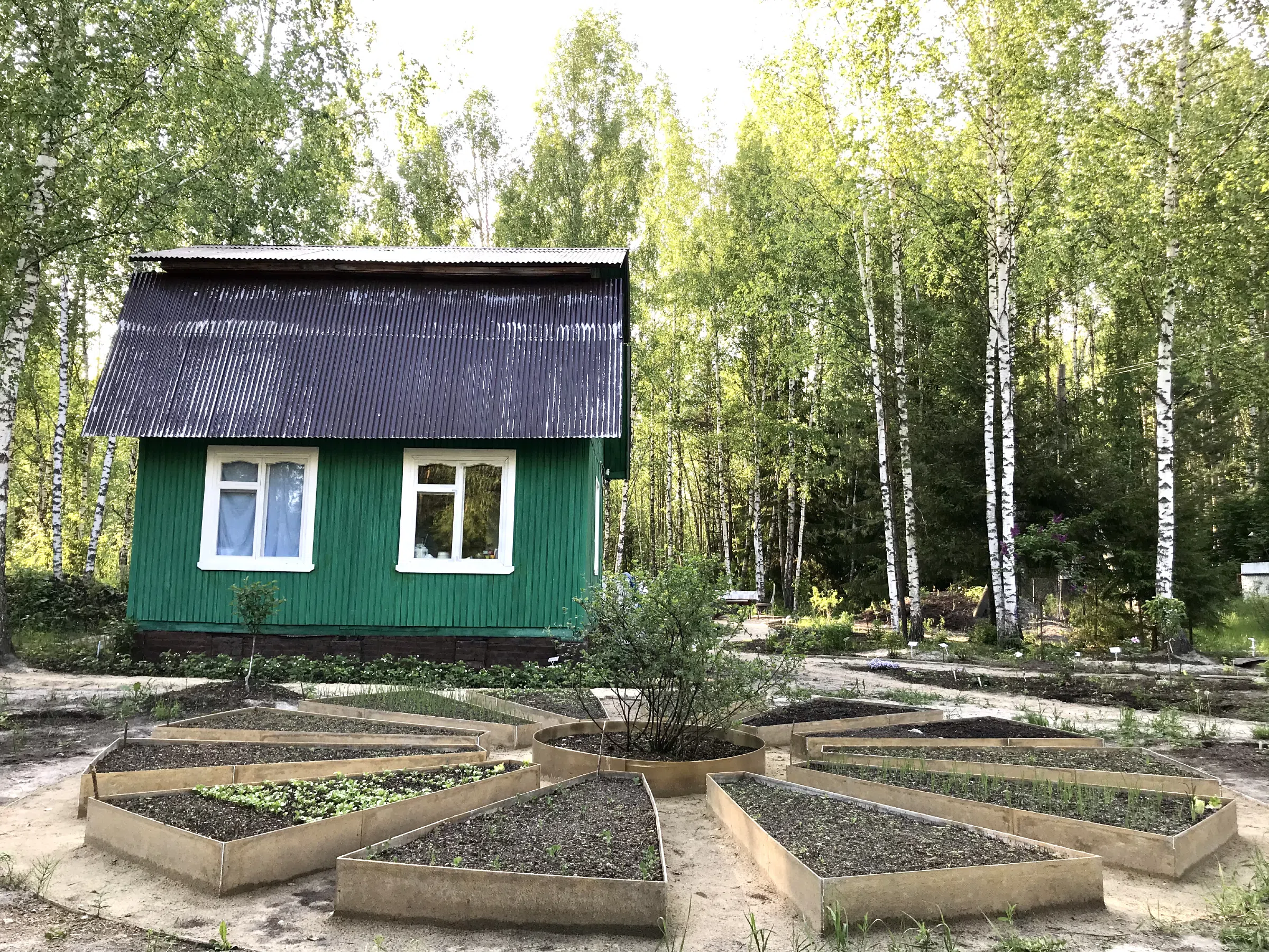 Зеленая дача в лесу, фото 3