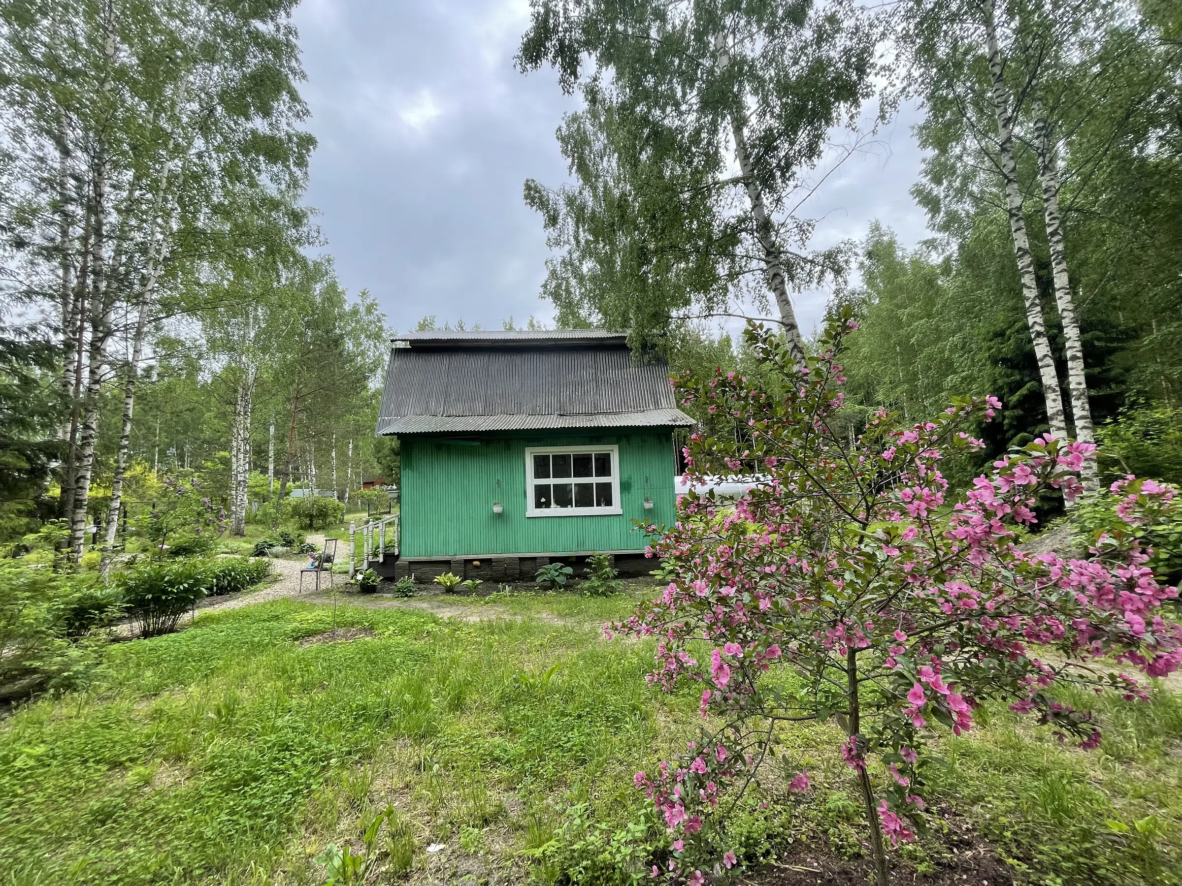 Зеленая дача в лесу, фото 16