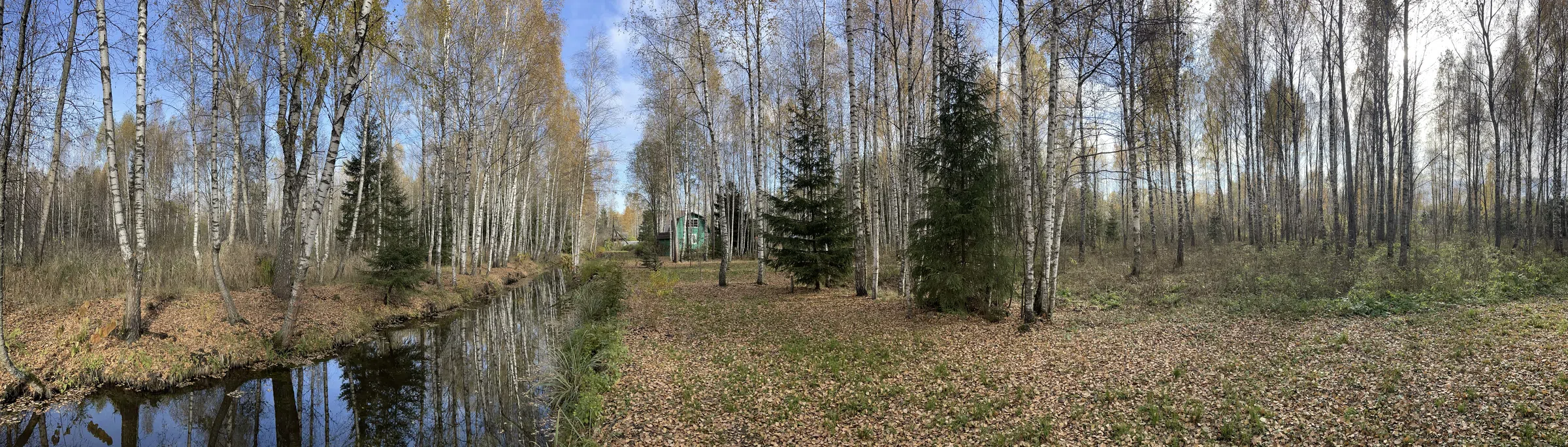 Зеленая дача в лесу, фото 10