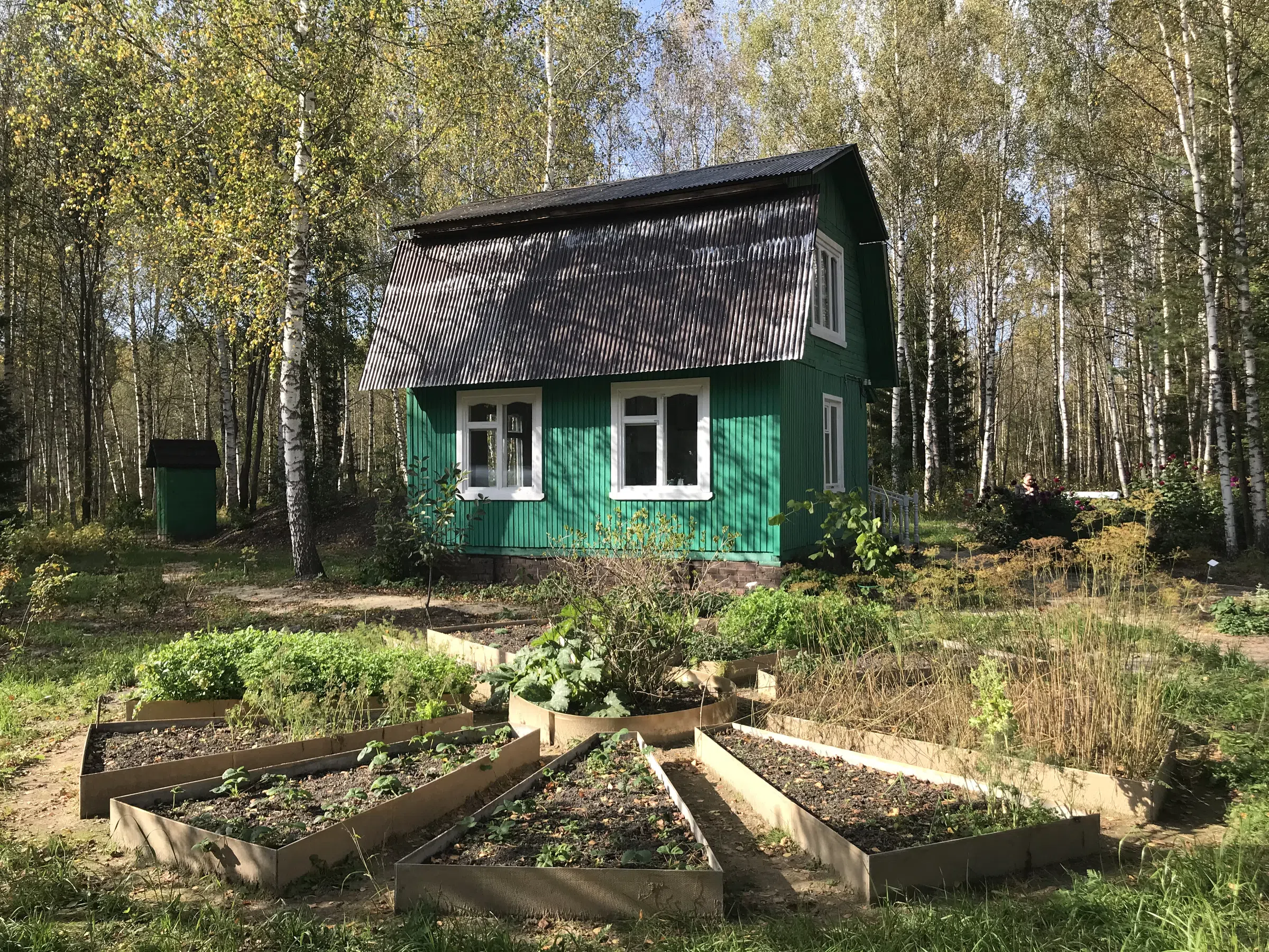 Зеленая дача в лесу, фото 6