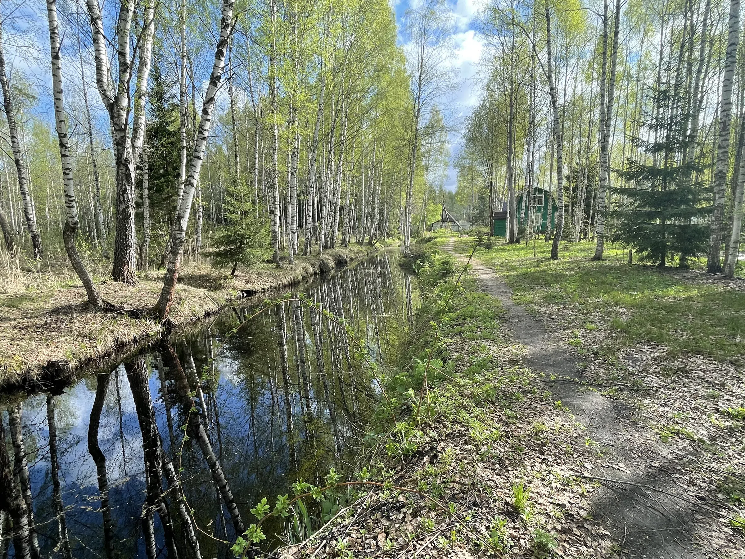 Зеленая дача в лесу, фото 12