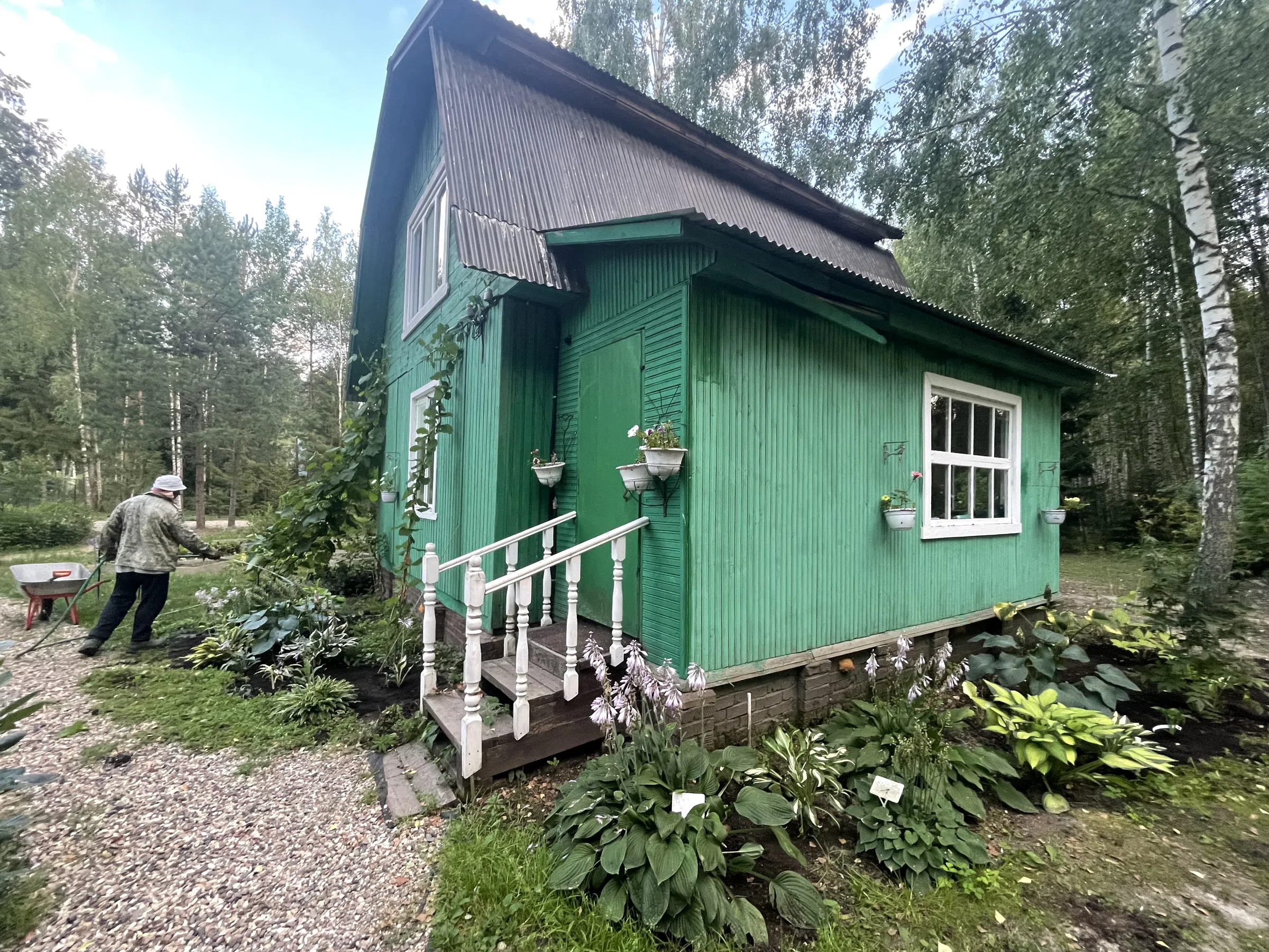 Зеленая дача в лесу, фото 21