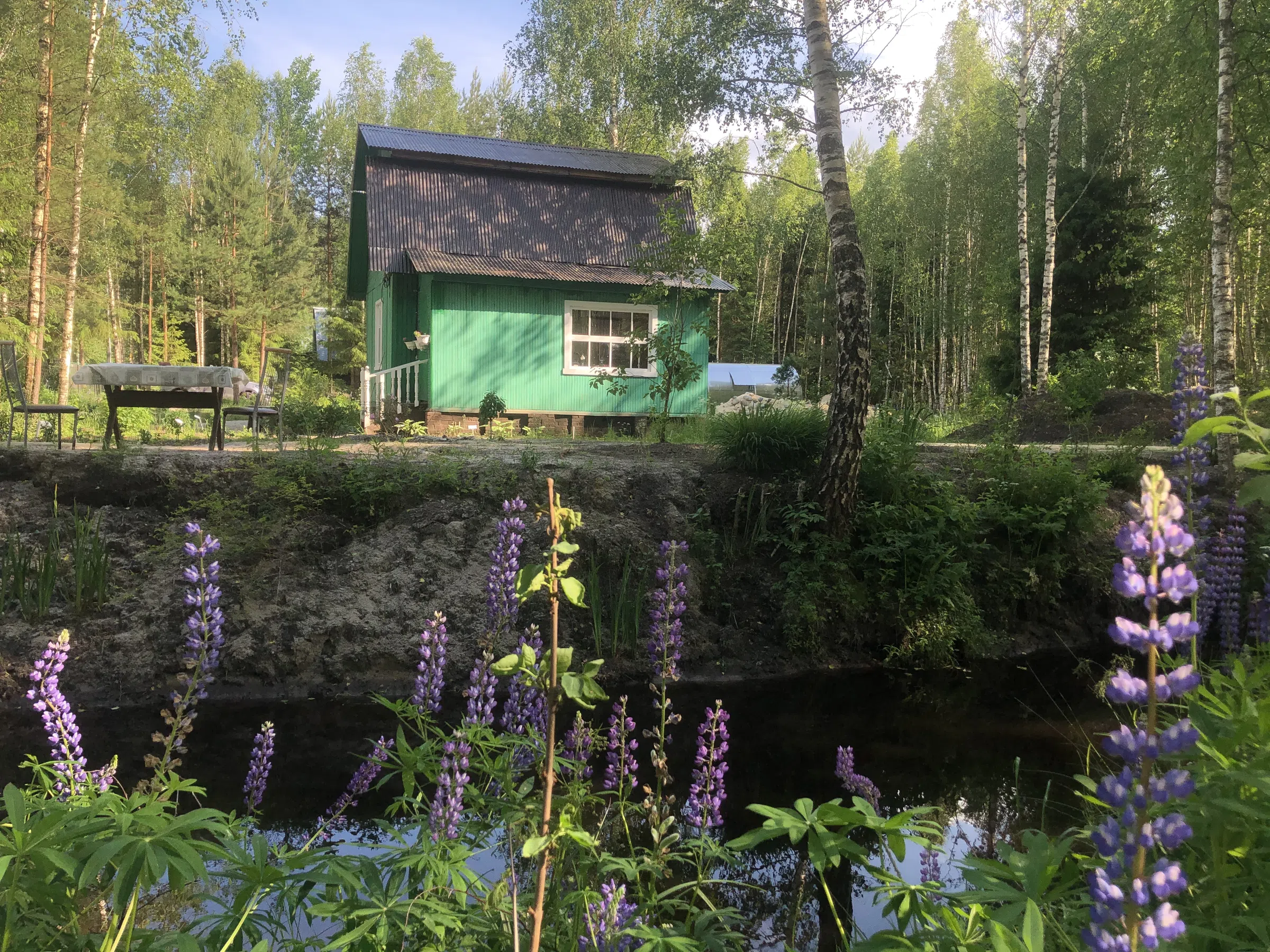 Зеленая дача в лесу, фото 20