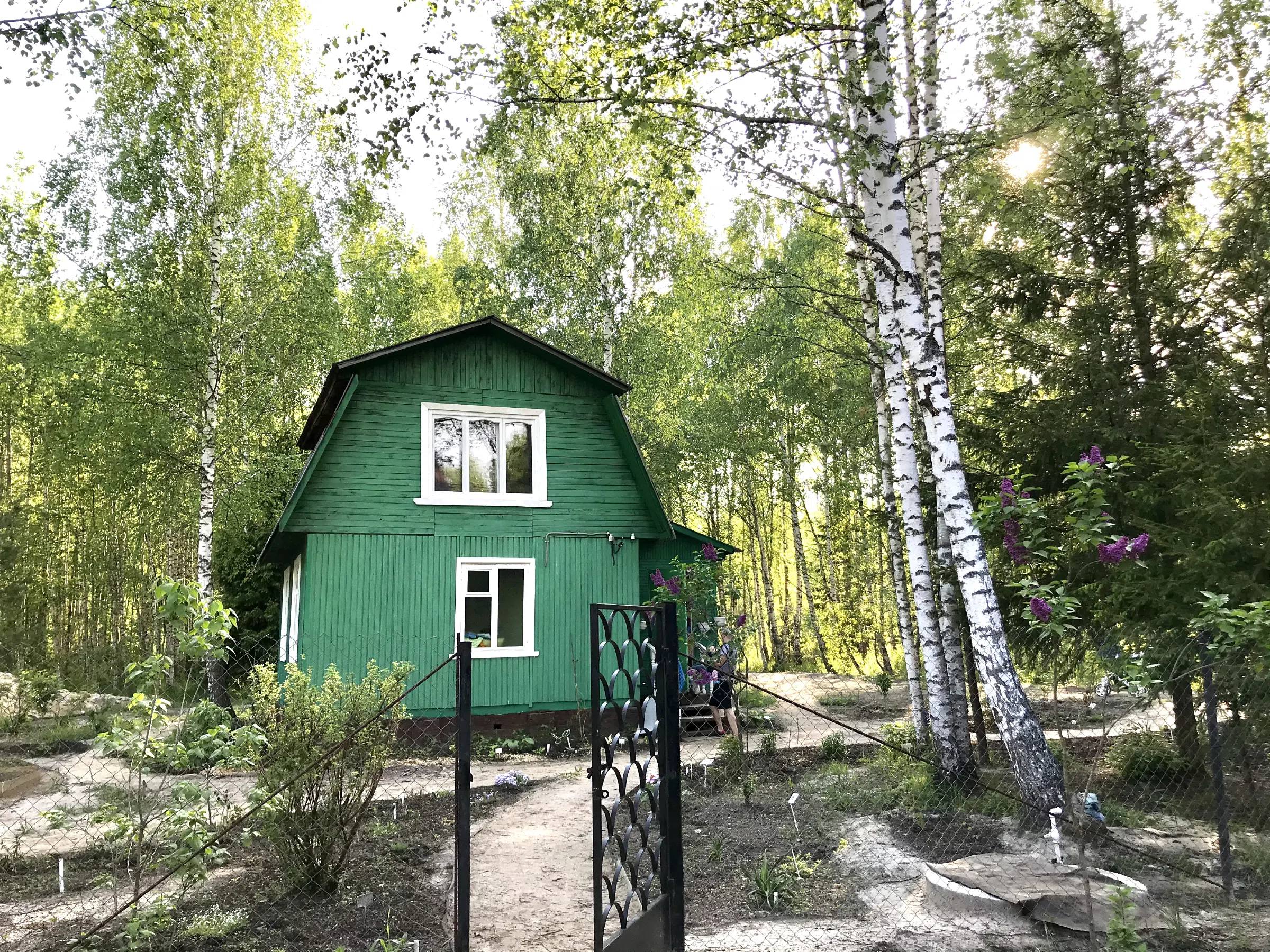 Зеленая дача в лесу, фото 2