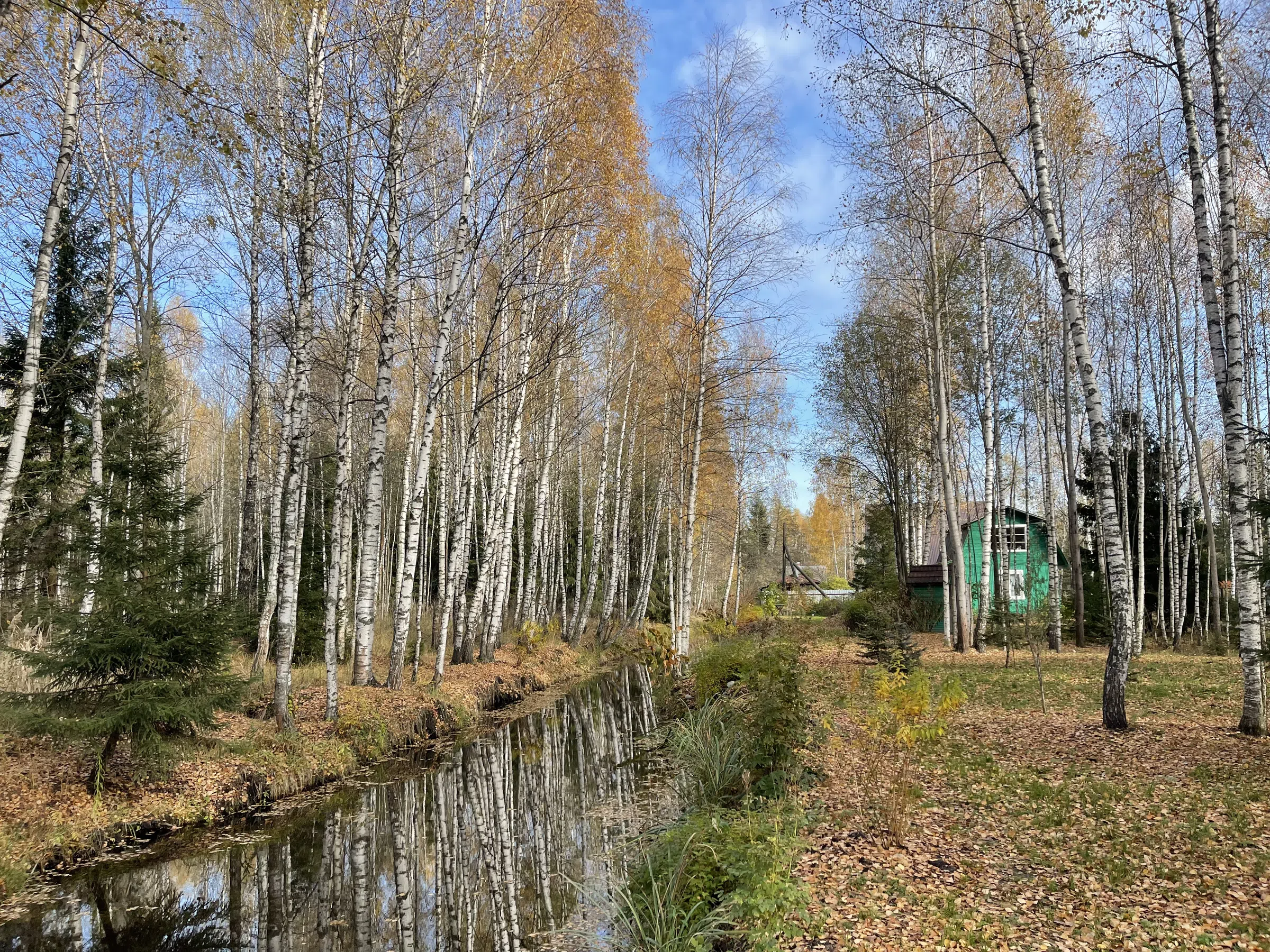 Зеленая дача в лесу, фото 9