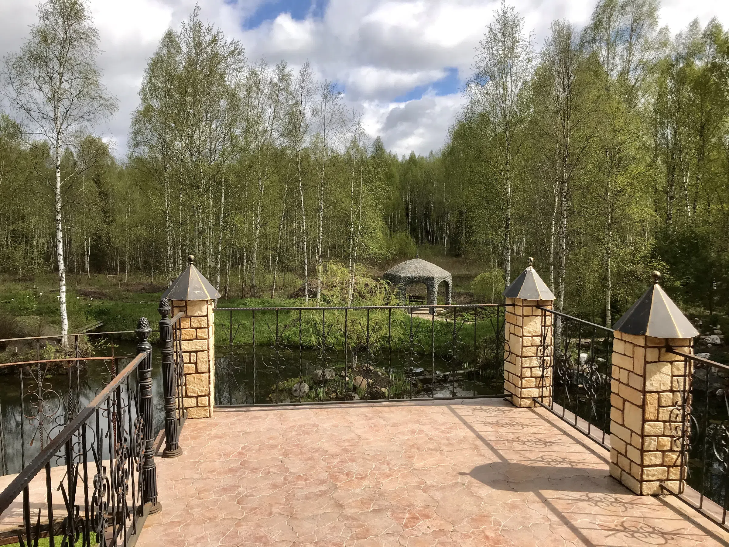 Патио с прудом-болотом, фото 4