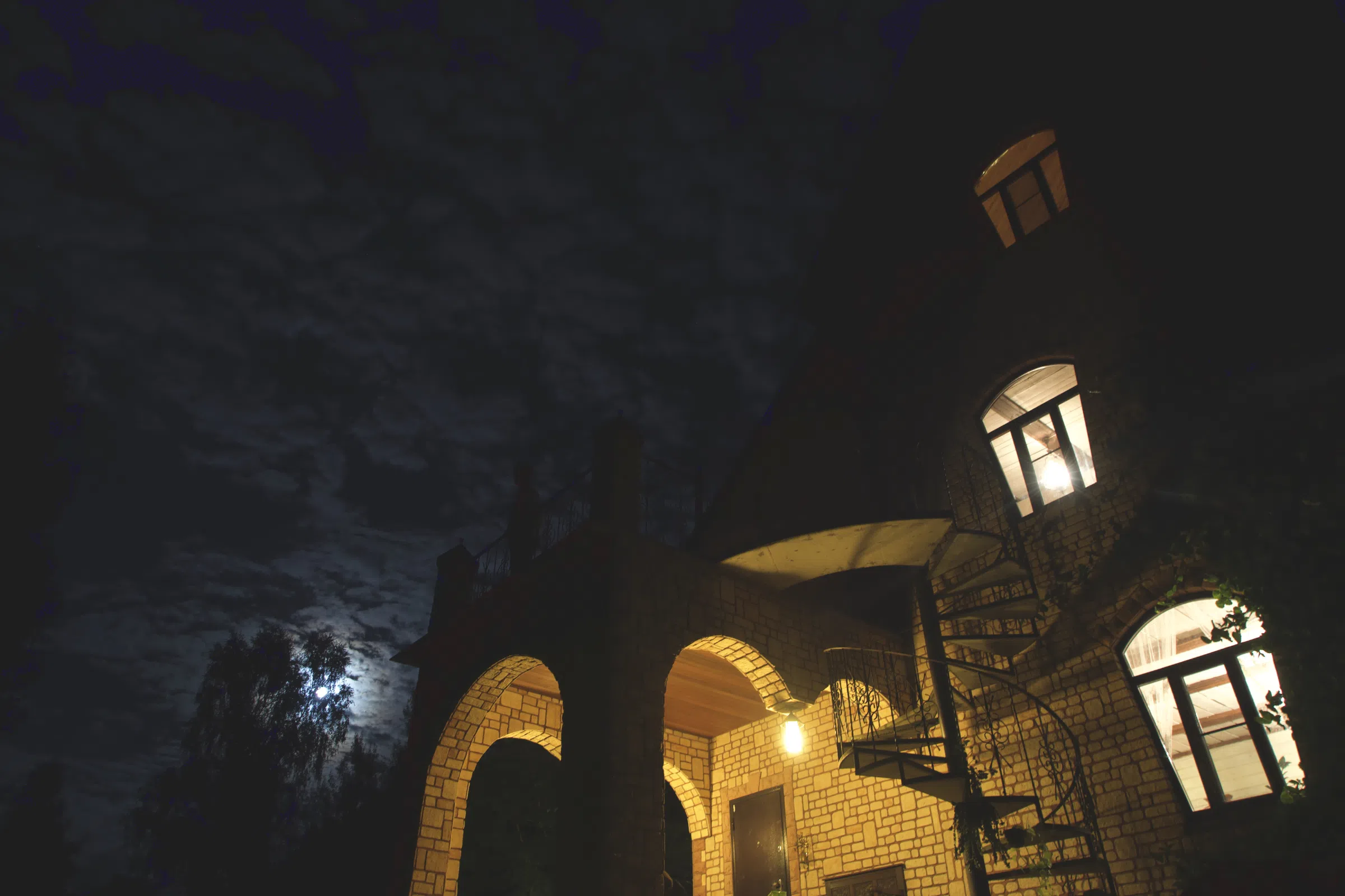 Кирпичные Арки Леса, фото 5