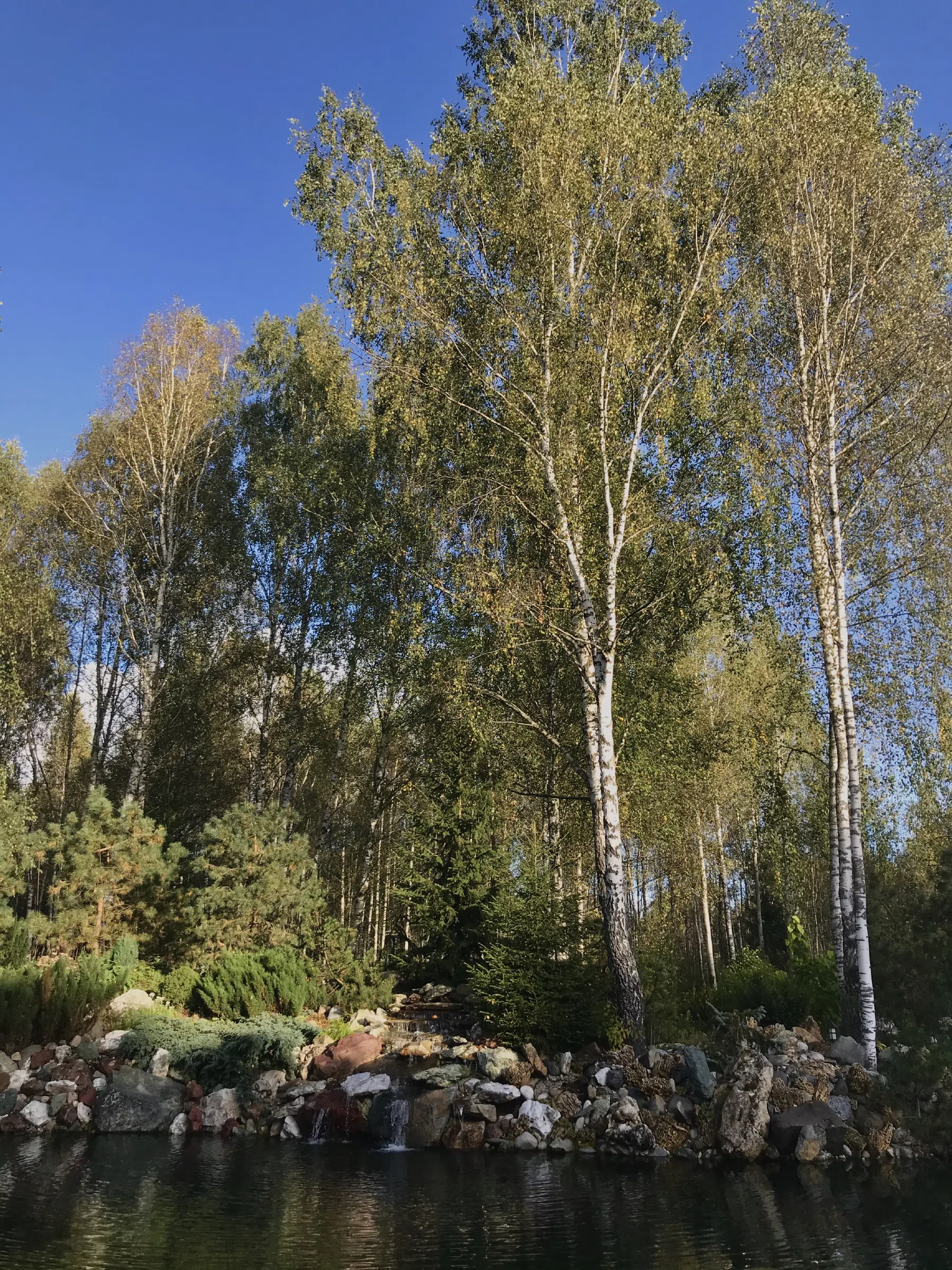 Парк с ручьем и мостиком, фото 20