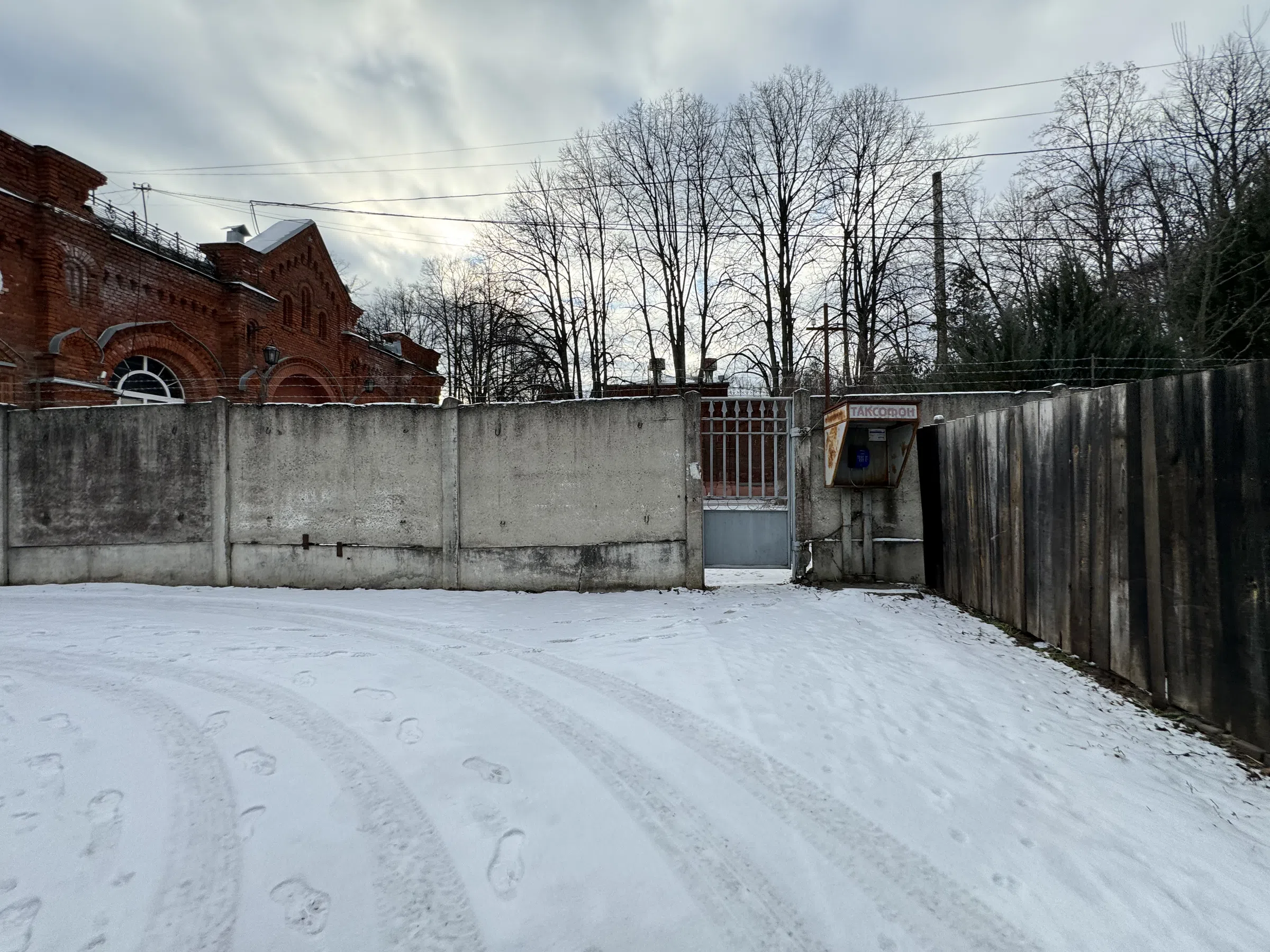 Дача в старом лесу, фото 11