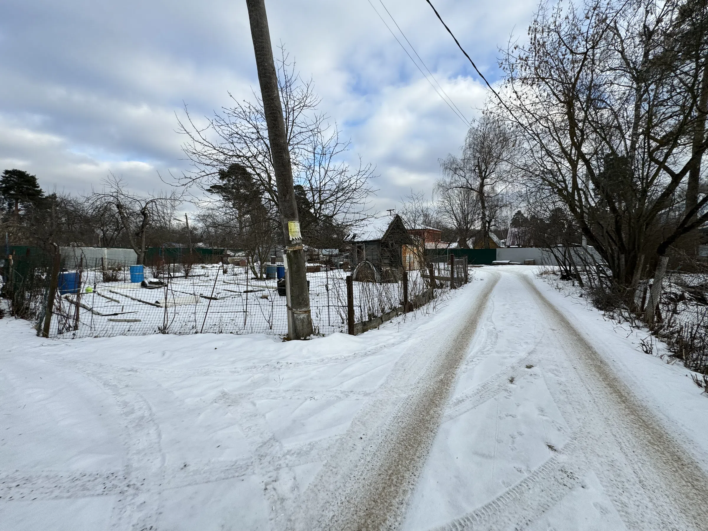 Дача в старом лесу, фото 23