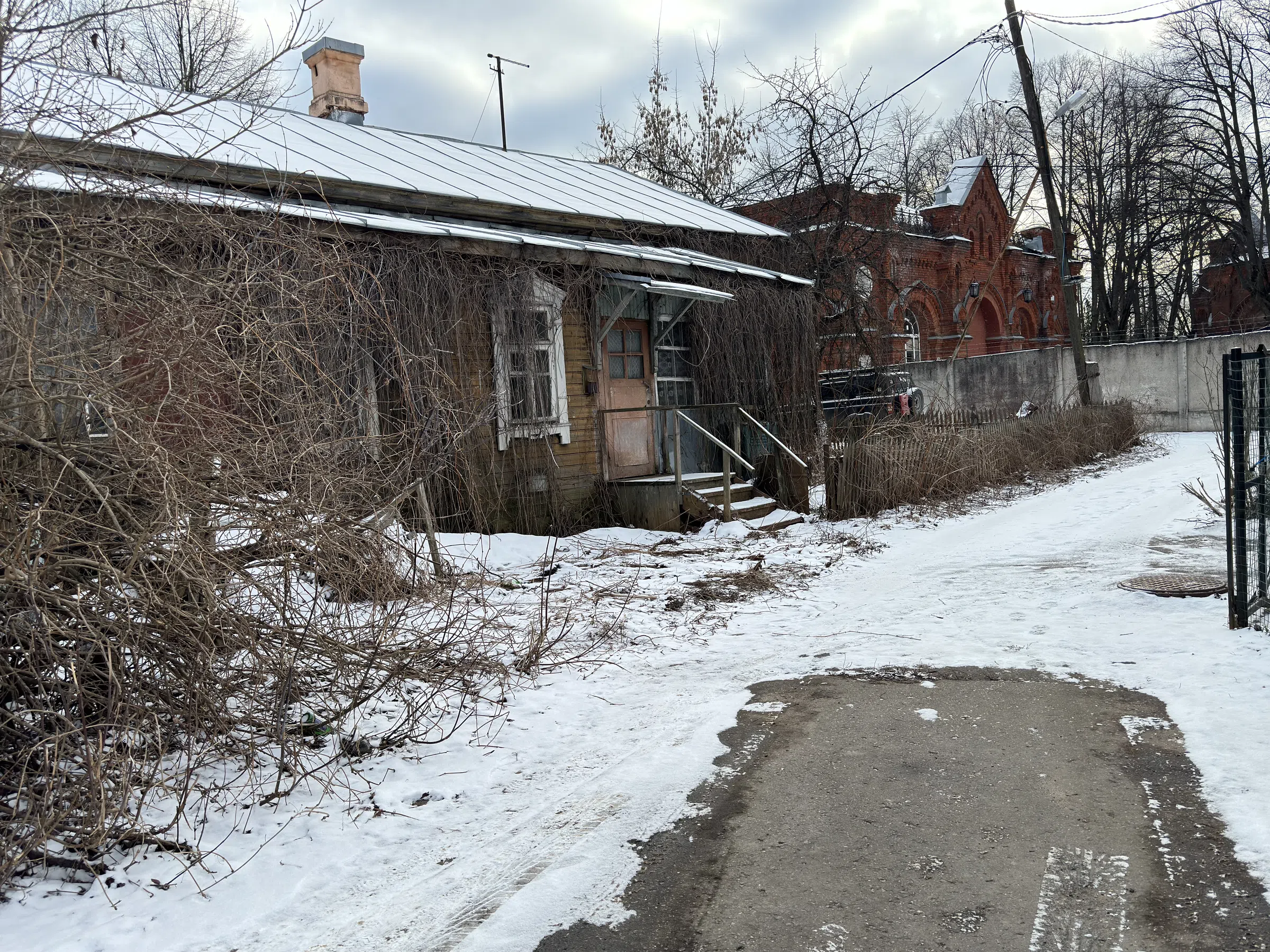 Дача в старом лесу, фото 7