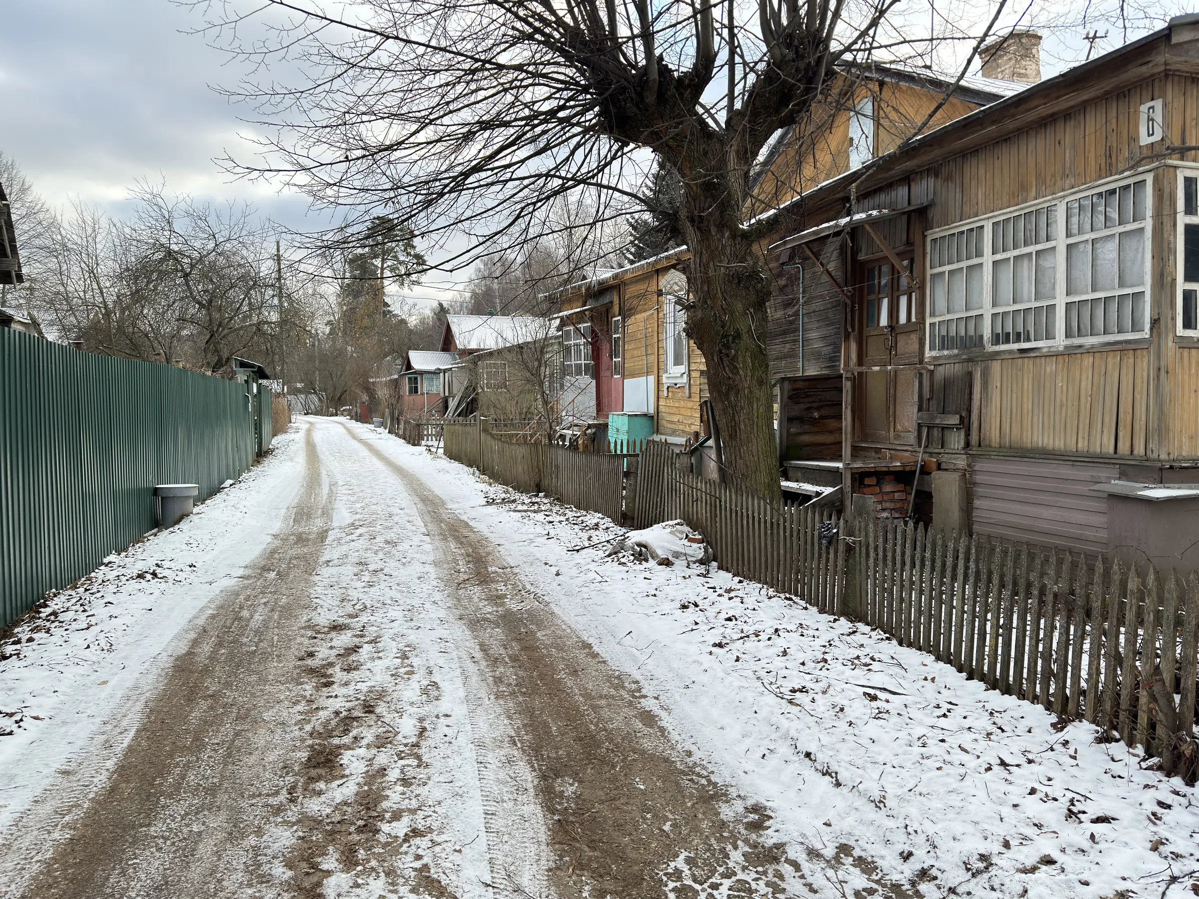 Дача в старом лесу, фото 17