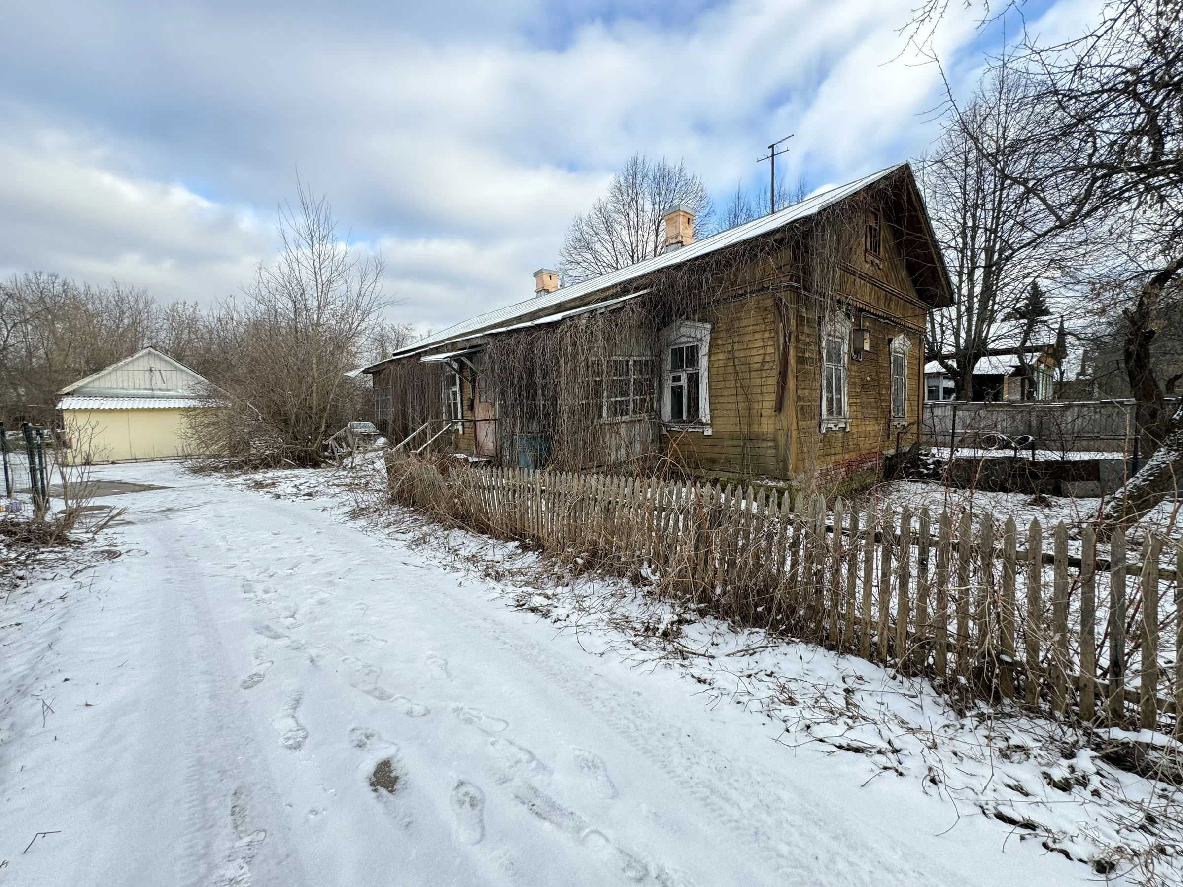 Дача в старом лесу, фото 10