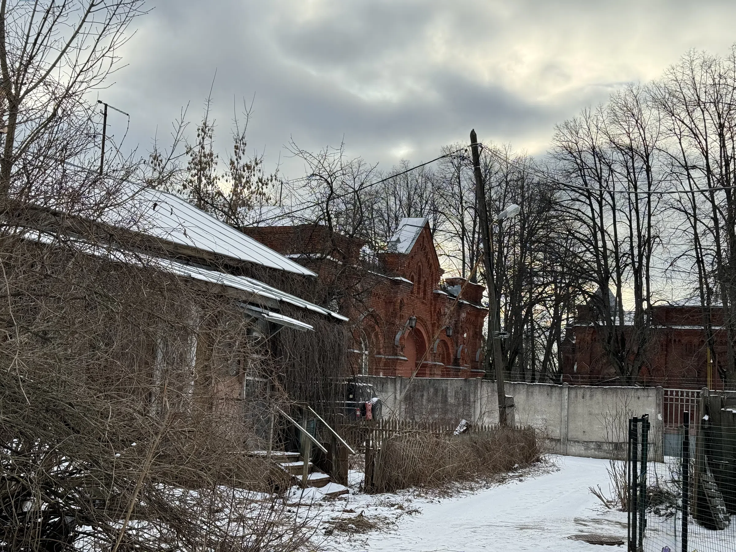 Дача в старом лесу, фото 6