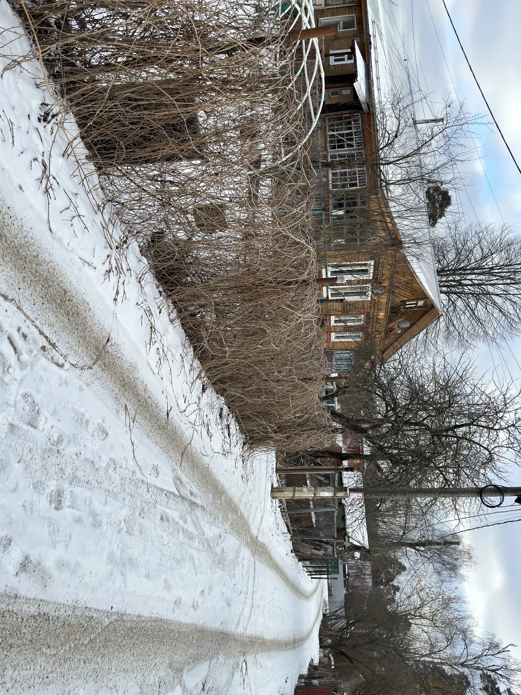 Дача в старом лесу, фото 19