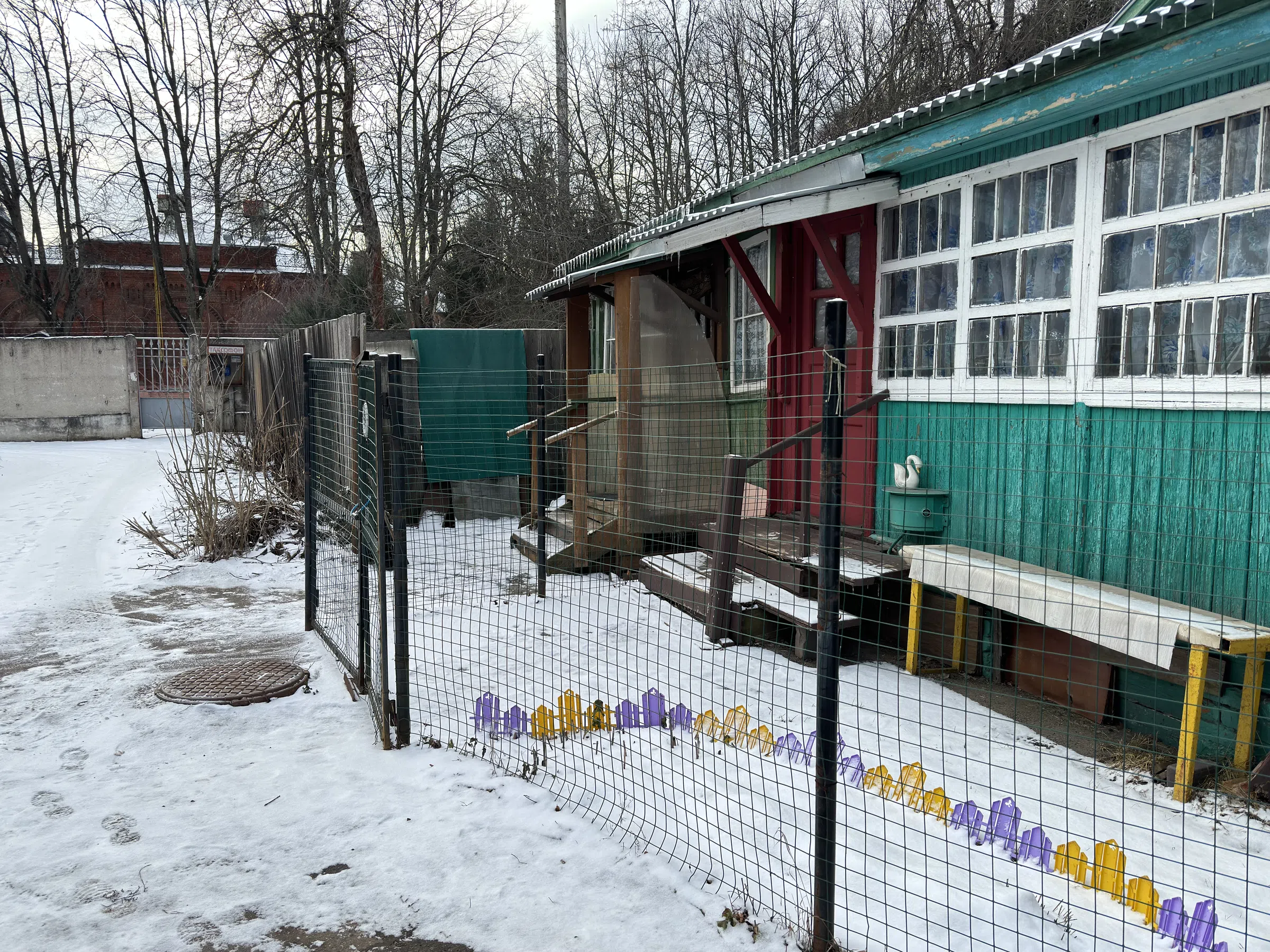 Дача в старом лесу, фото 8