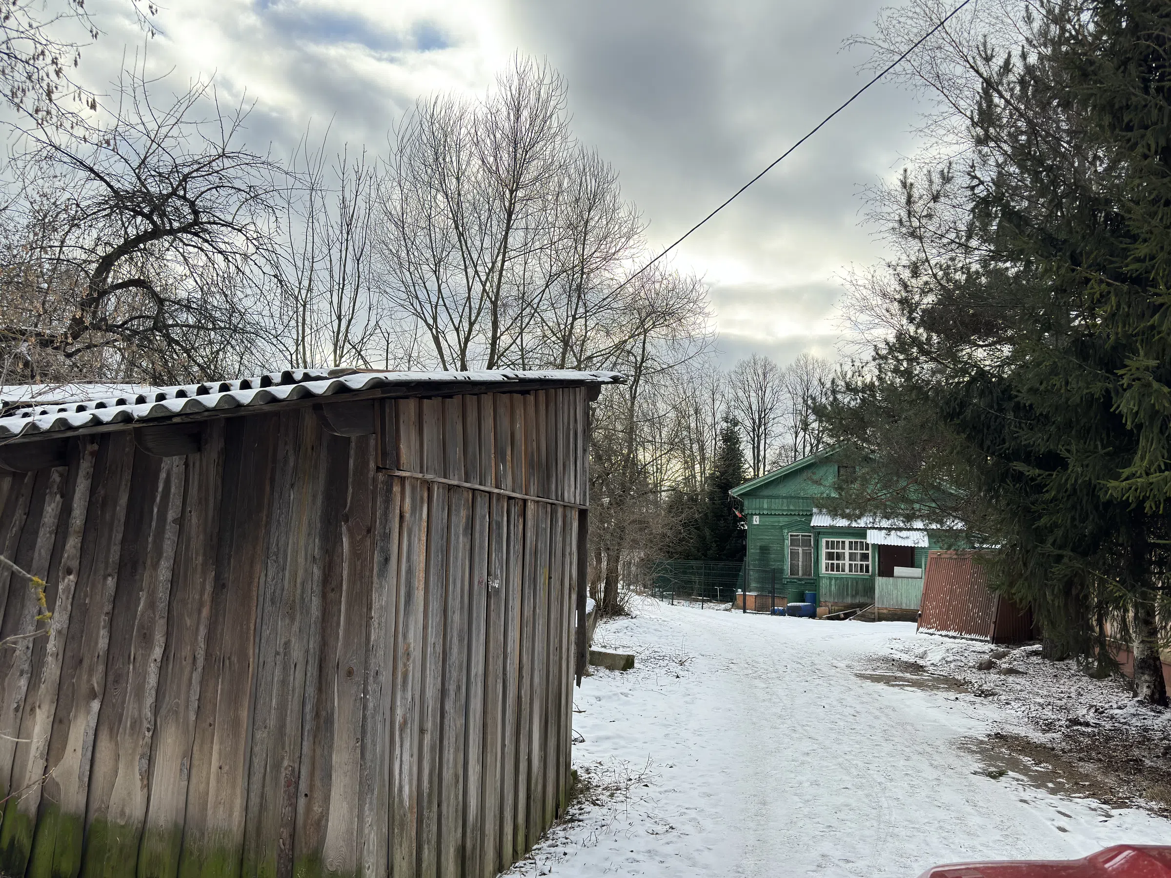 Дача в старом лесу, фото 4