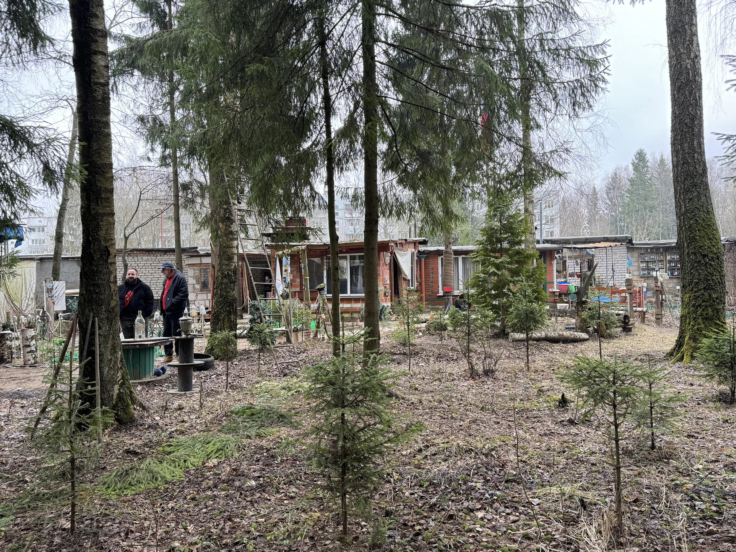 Дача Синяя Стелла, фото 24