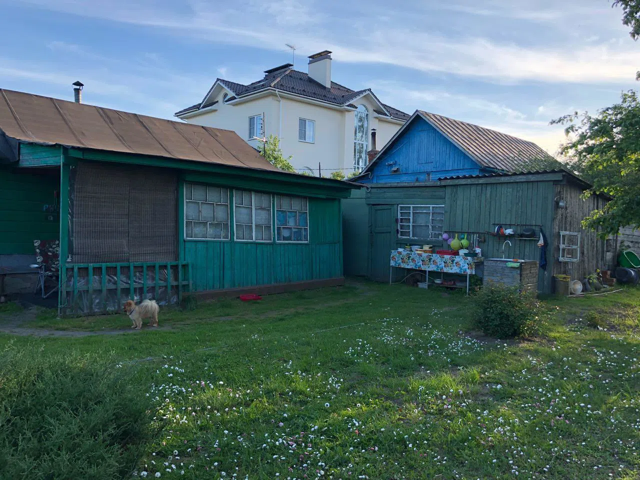Деревенская дача в зелени, фото 8