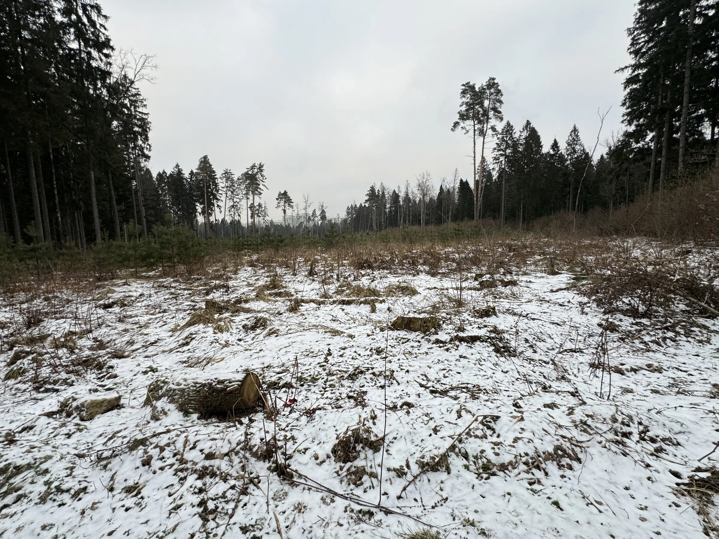 Жёлтый дом с арками, фото 12