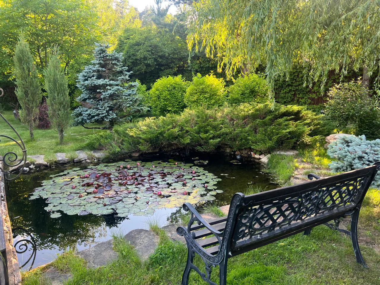 Дом с прудом и бассейном, фото 13