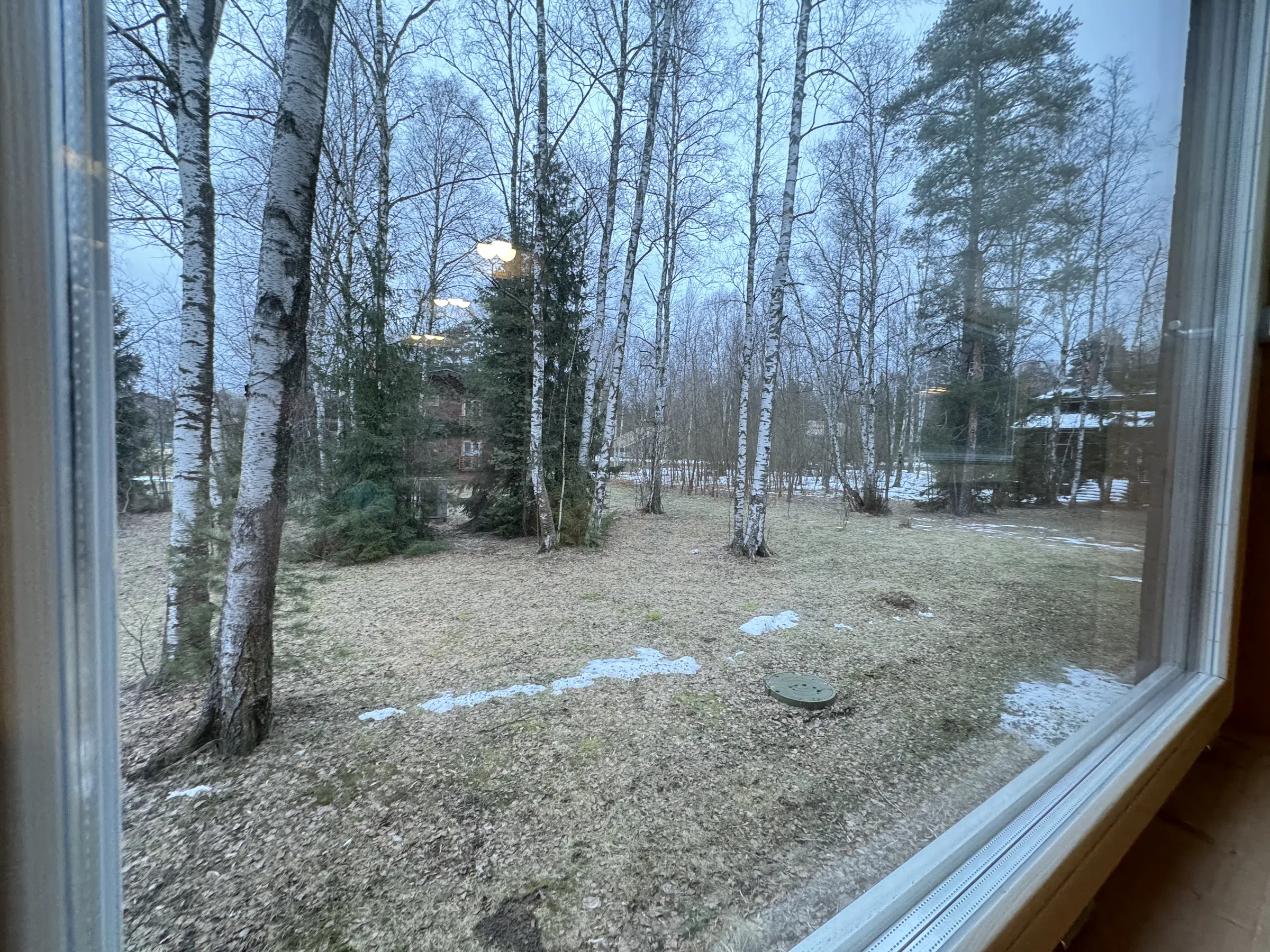 Сосновое бревно и брус, фото 13