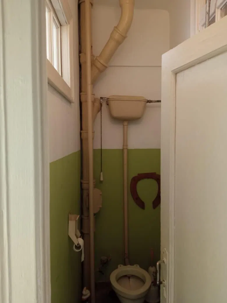 Зелёный пояс сталинки, фото 2