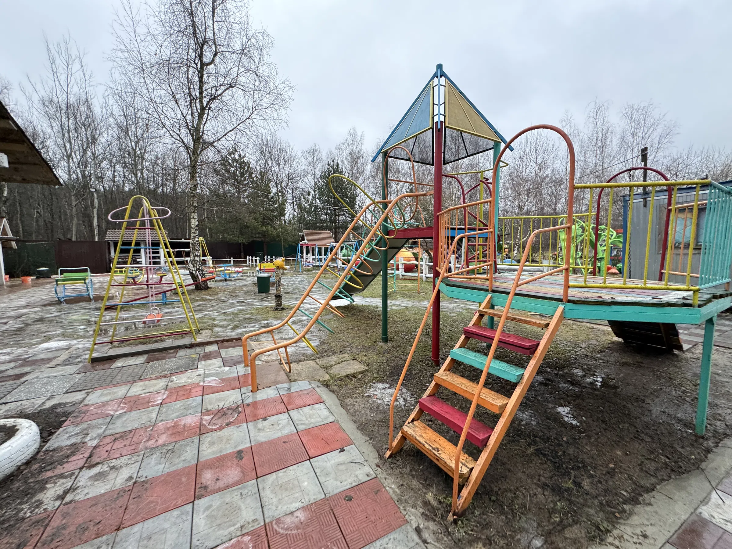 Сказочный лес с великаном, фото 24