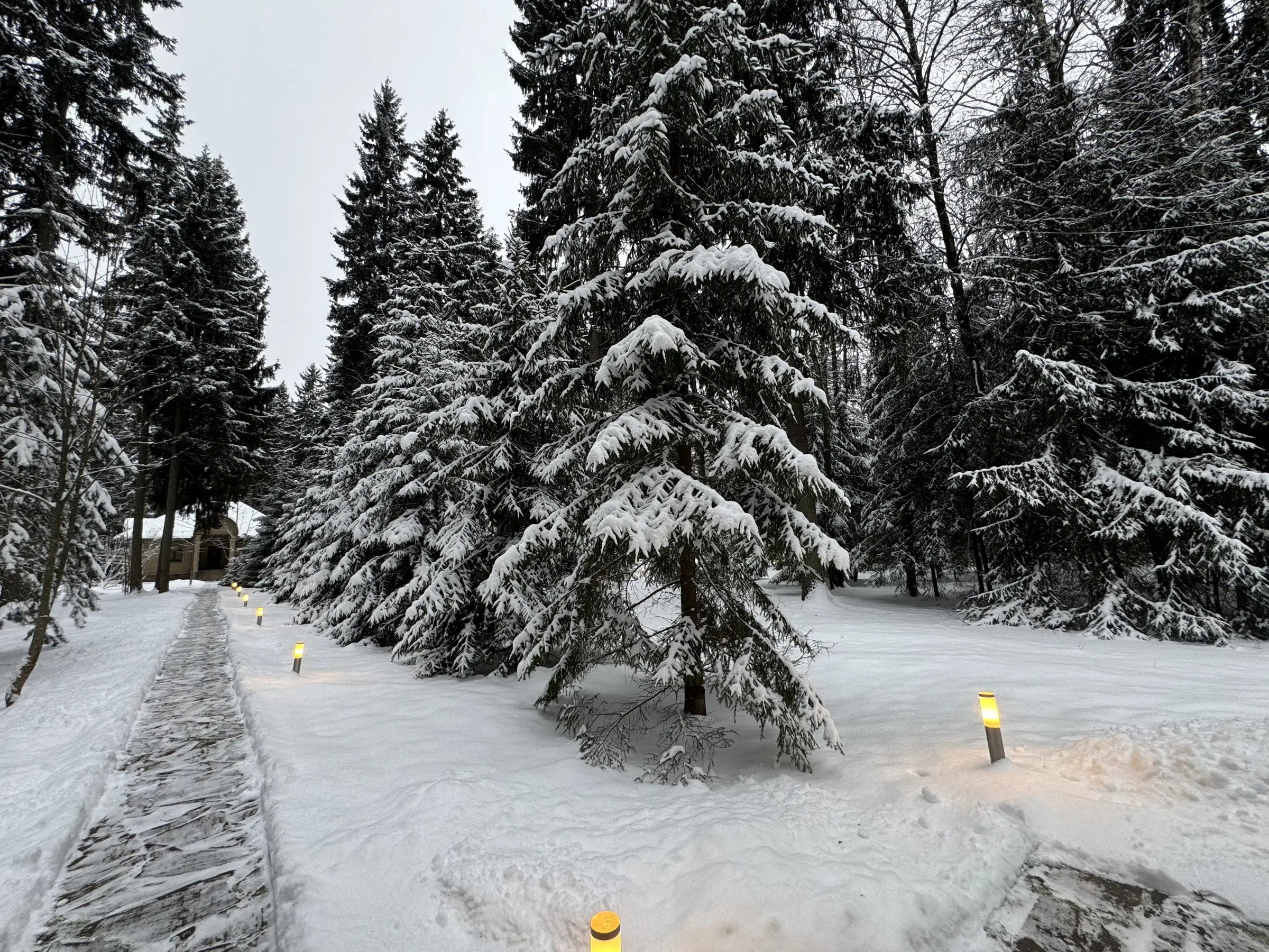 Загородный особняк с арками, фото 9